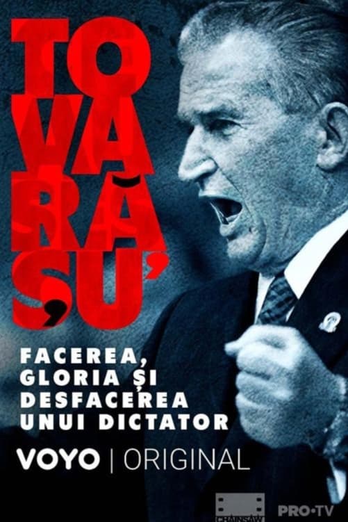 Poster de Tovarășu': facerea, gloria și desfacerea unui dictator