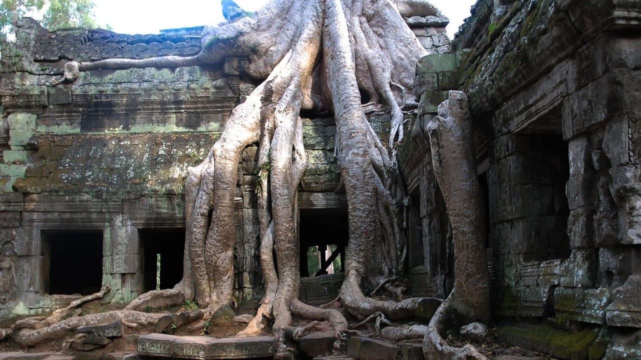 Backdrop image