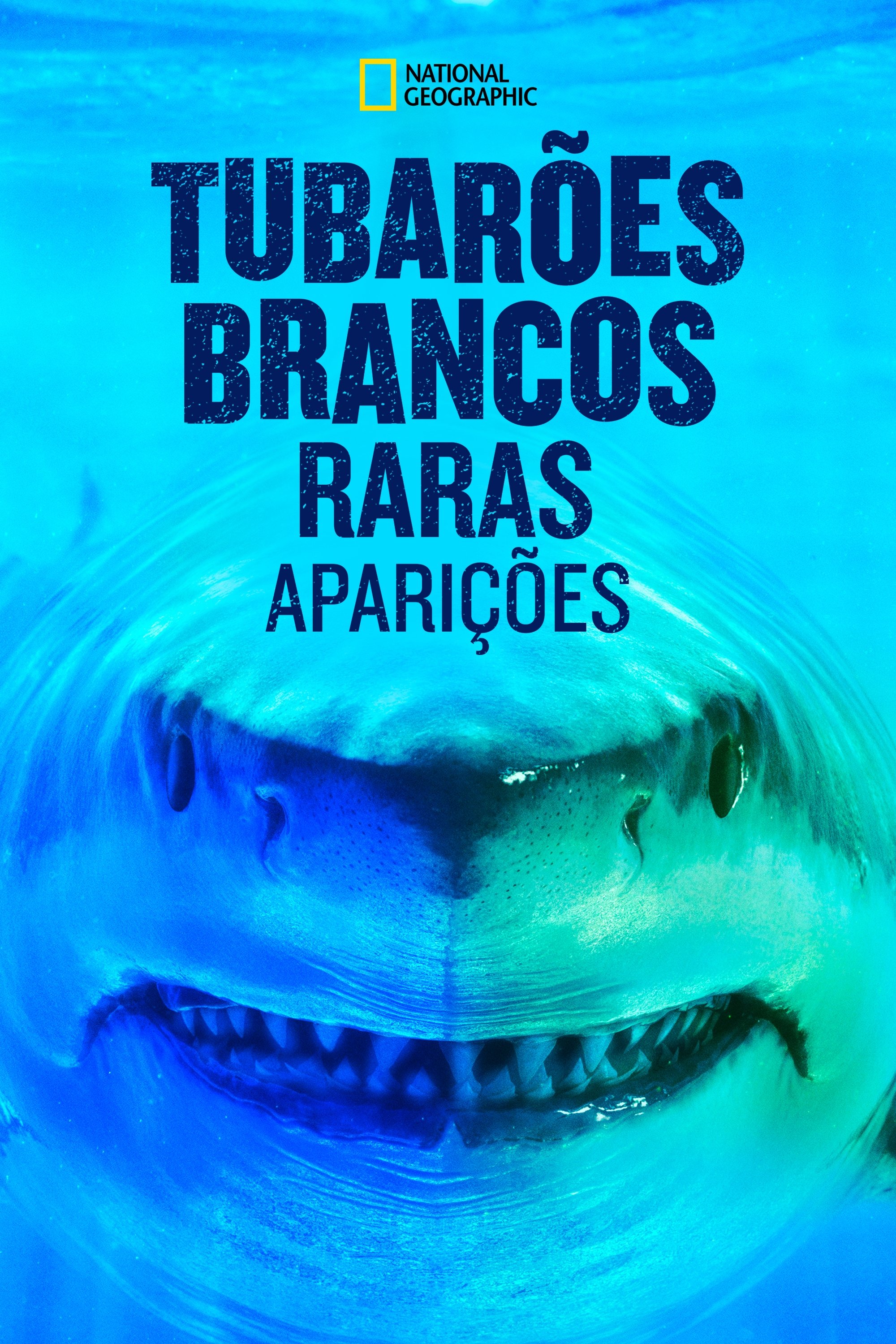 Poster de Expedição Havaí: Tubarão Branco