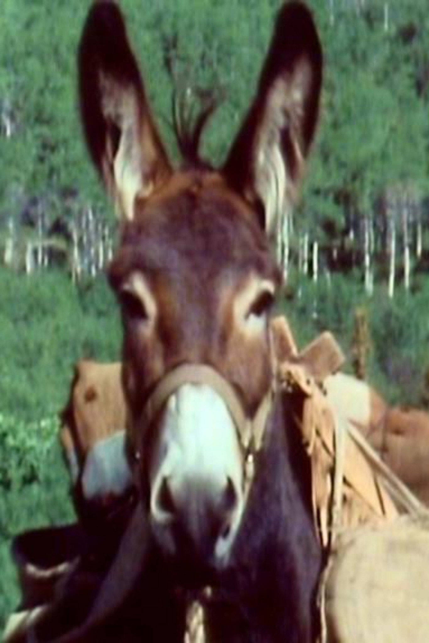 Foto de Number Seven