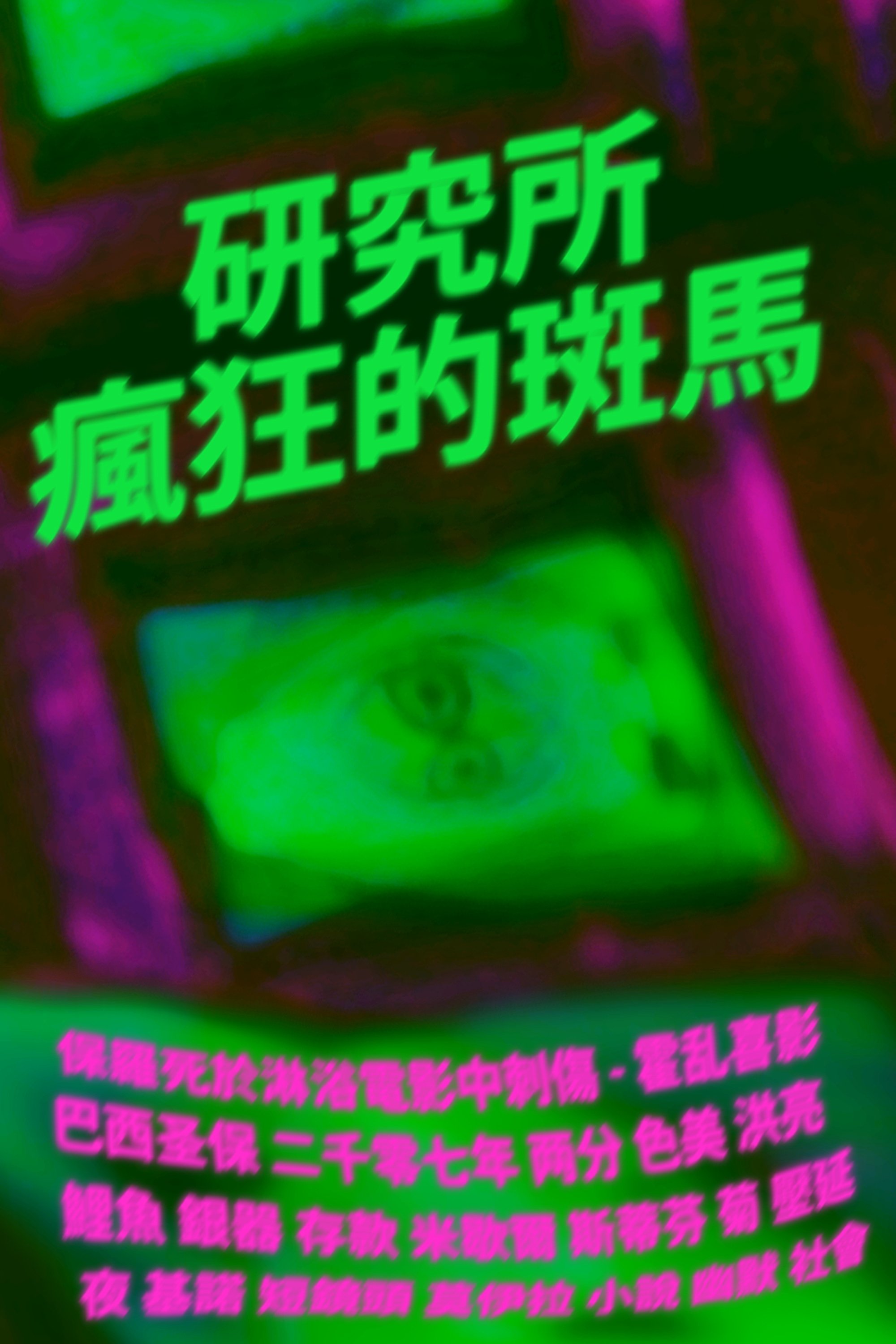 Poster de Instituto Zebechristha