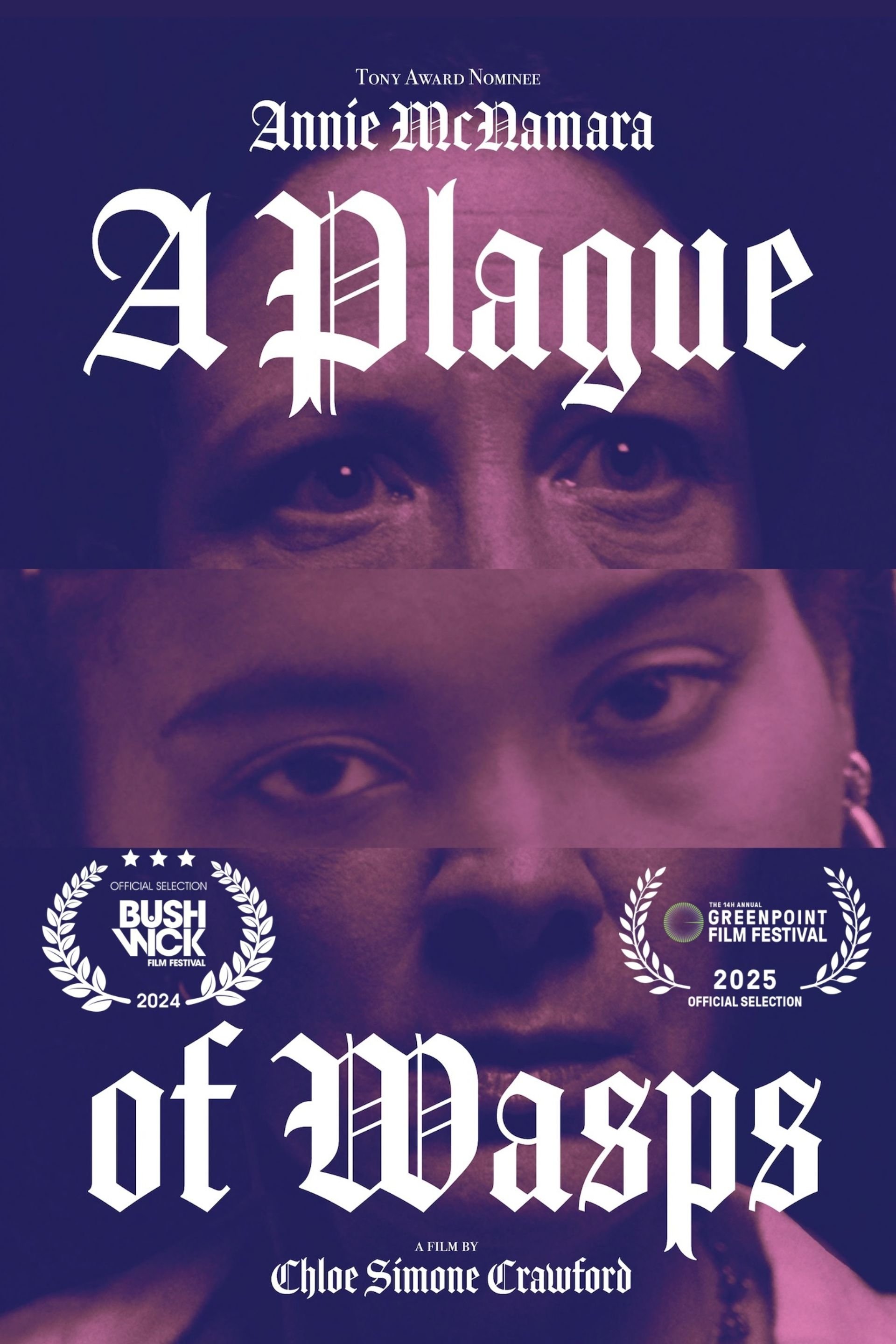 Poster de A Plague of Wasps