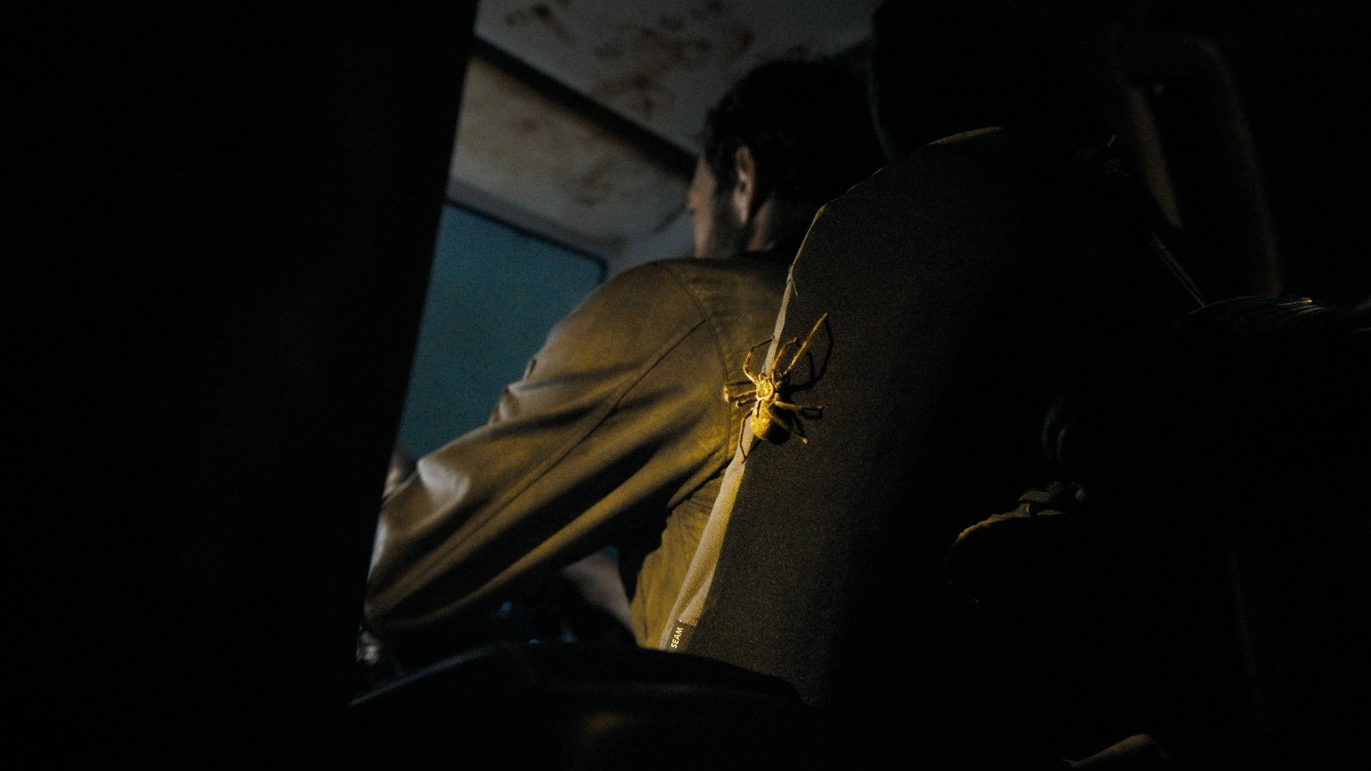 Backdrop image