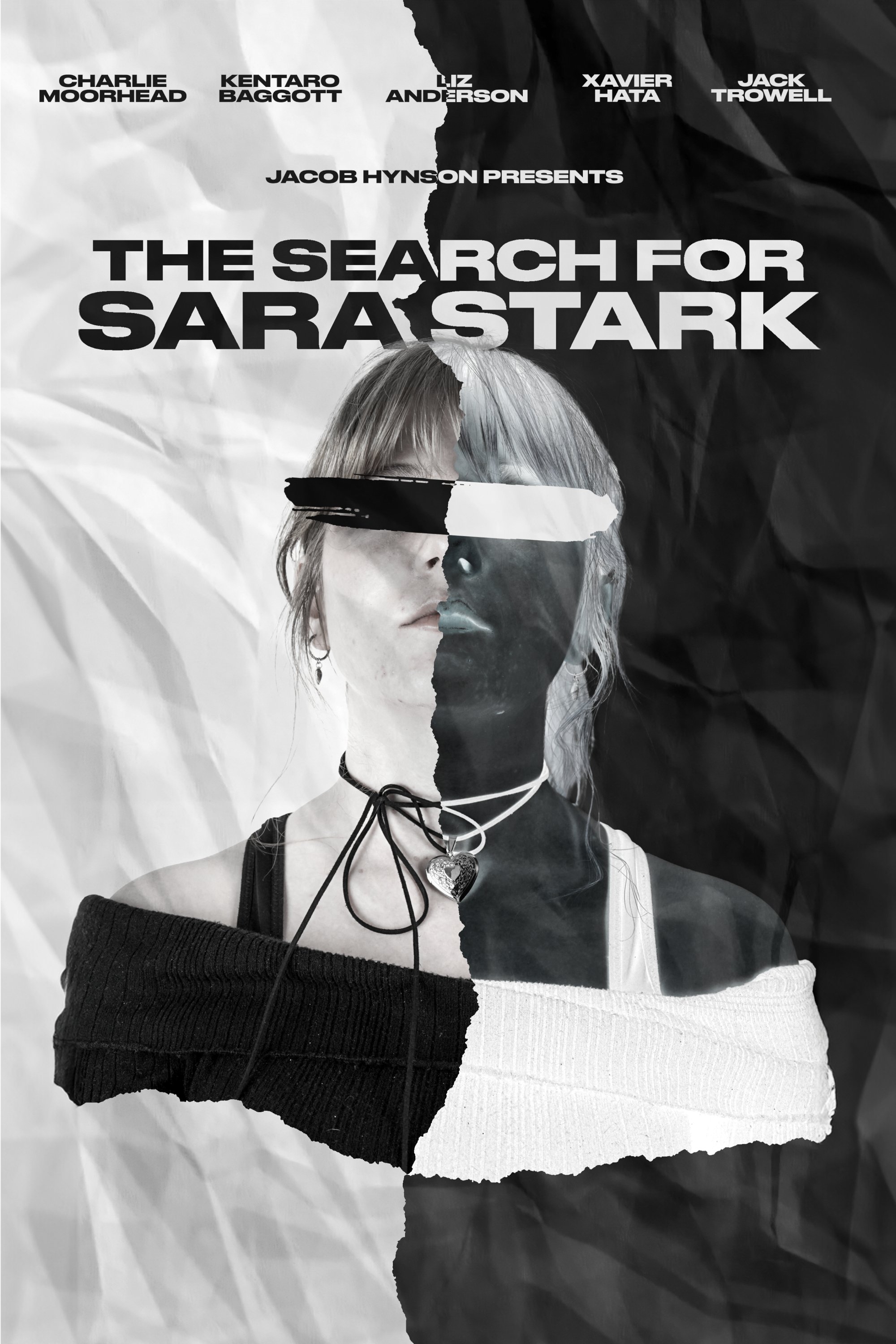 Poster de The Search for Sara Stark