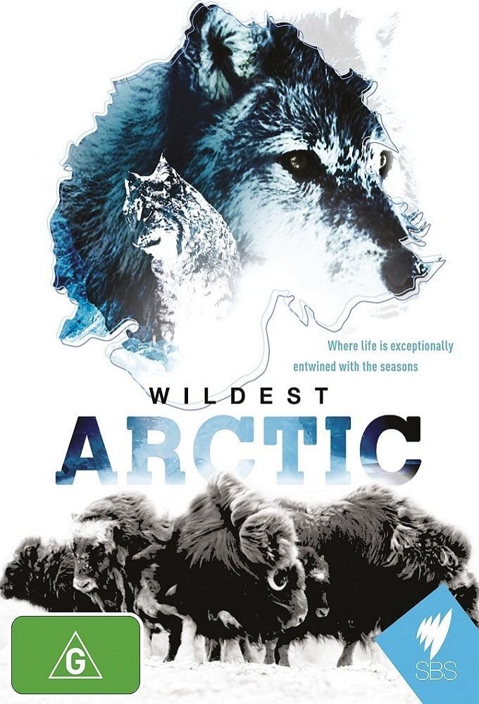 Poster de Wildest Arctic