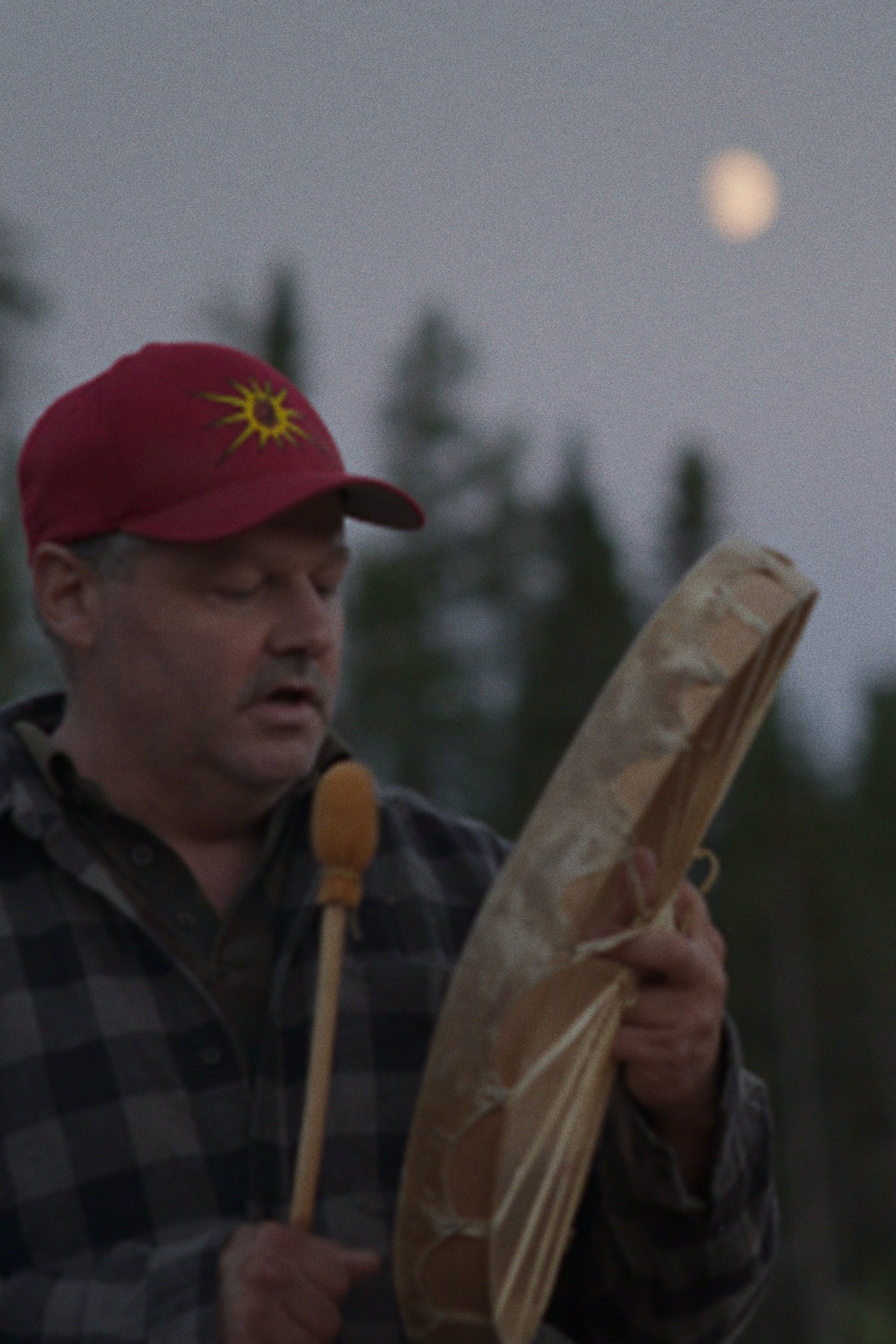 Poster de Dans la forêt