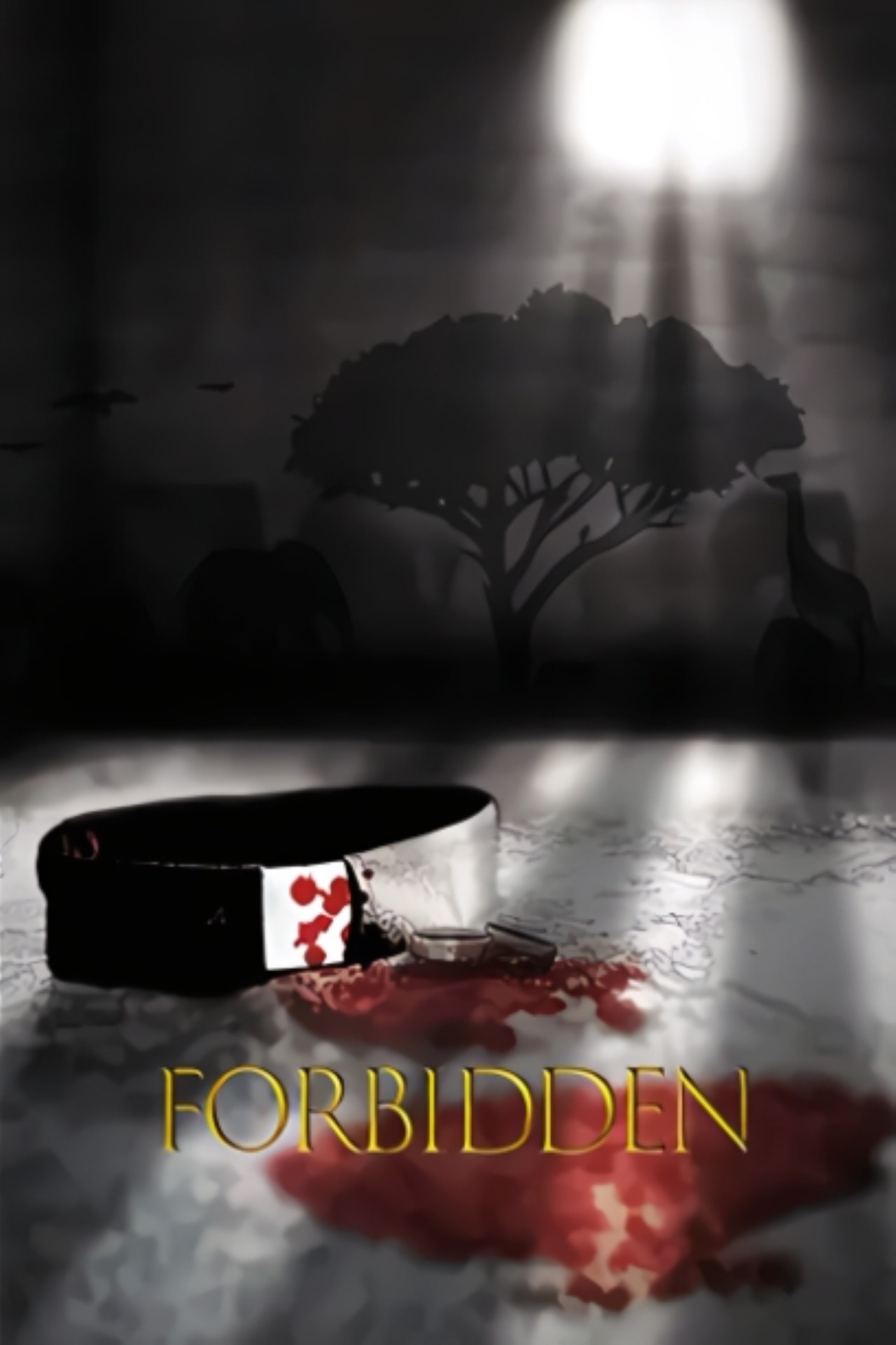 Poster de Forbidden