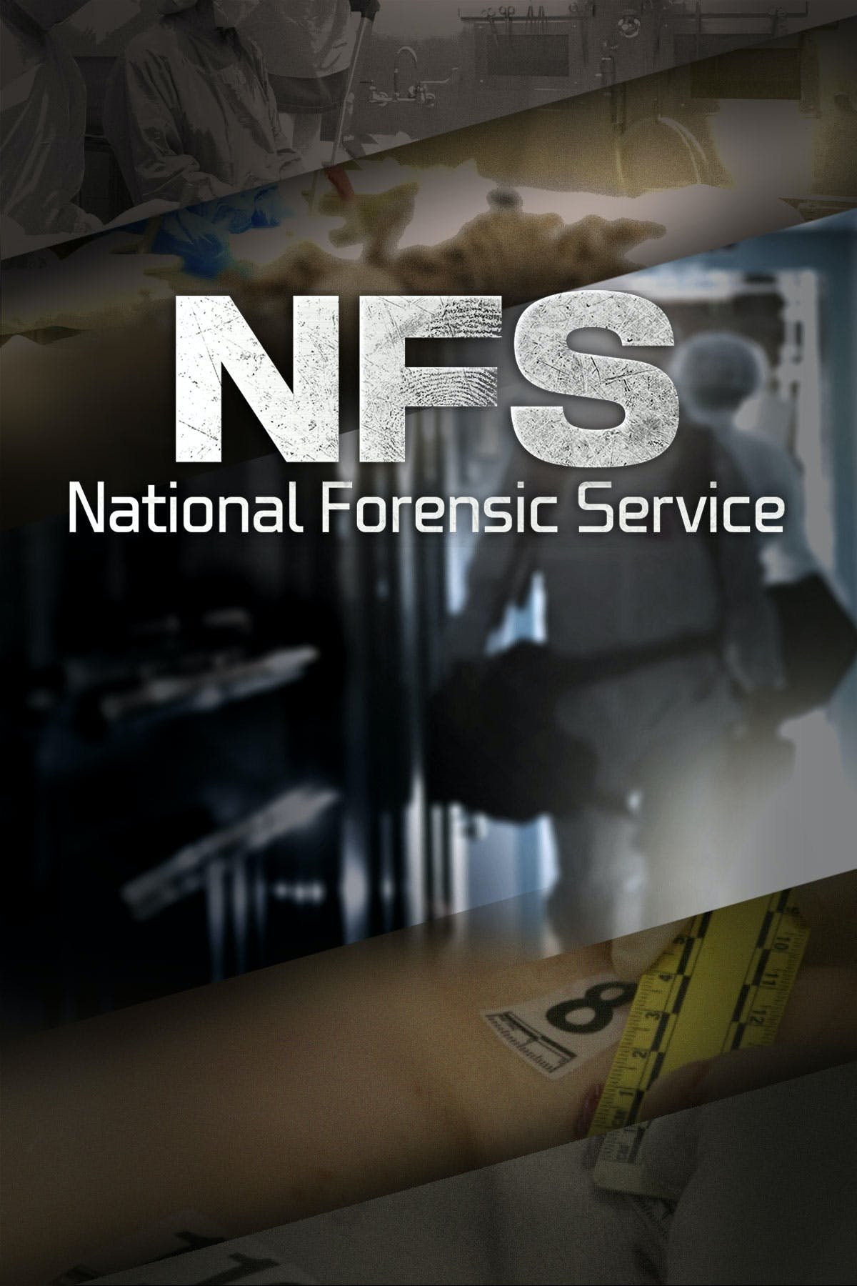 NFS: National Forensic Service