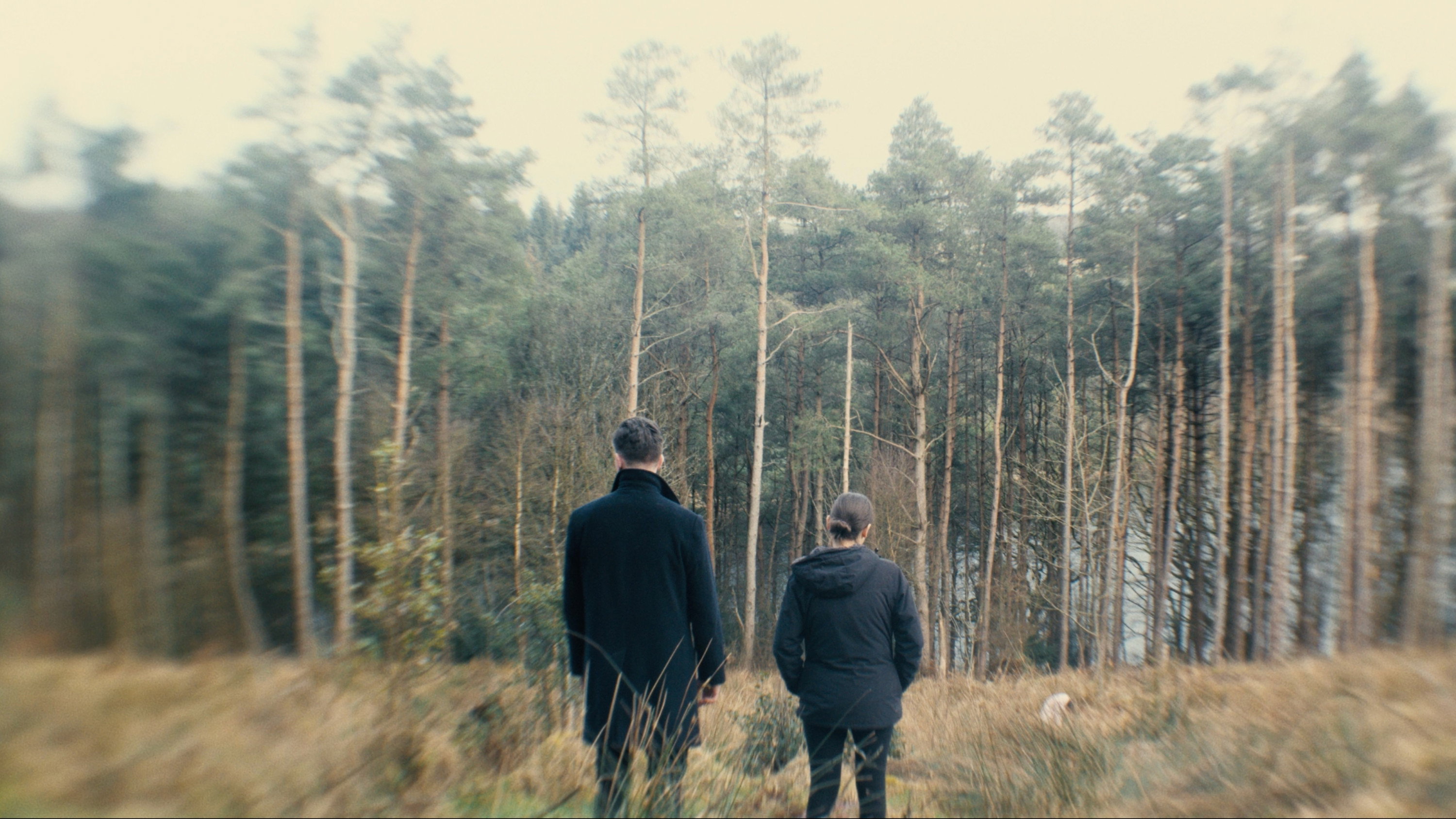 Director