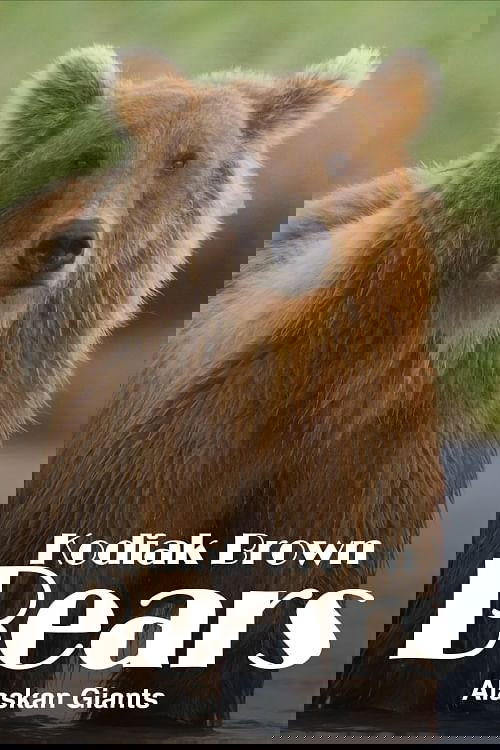 title