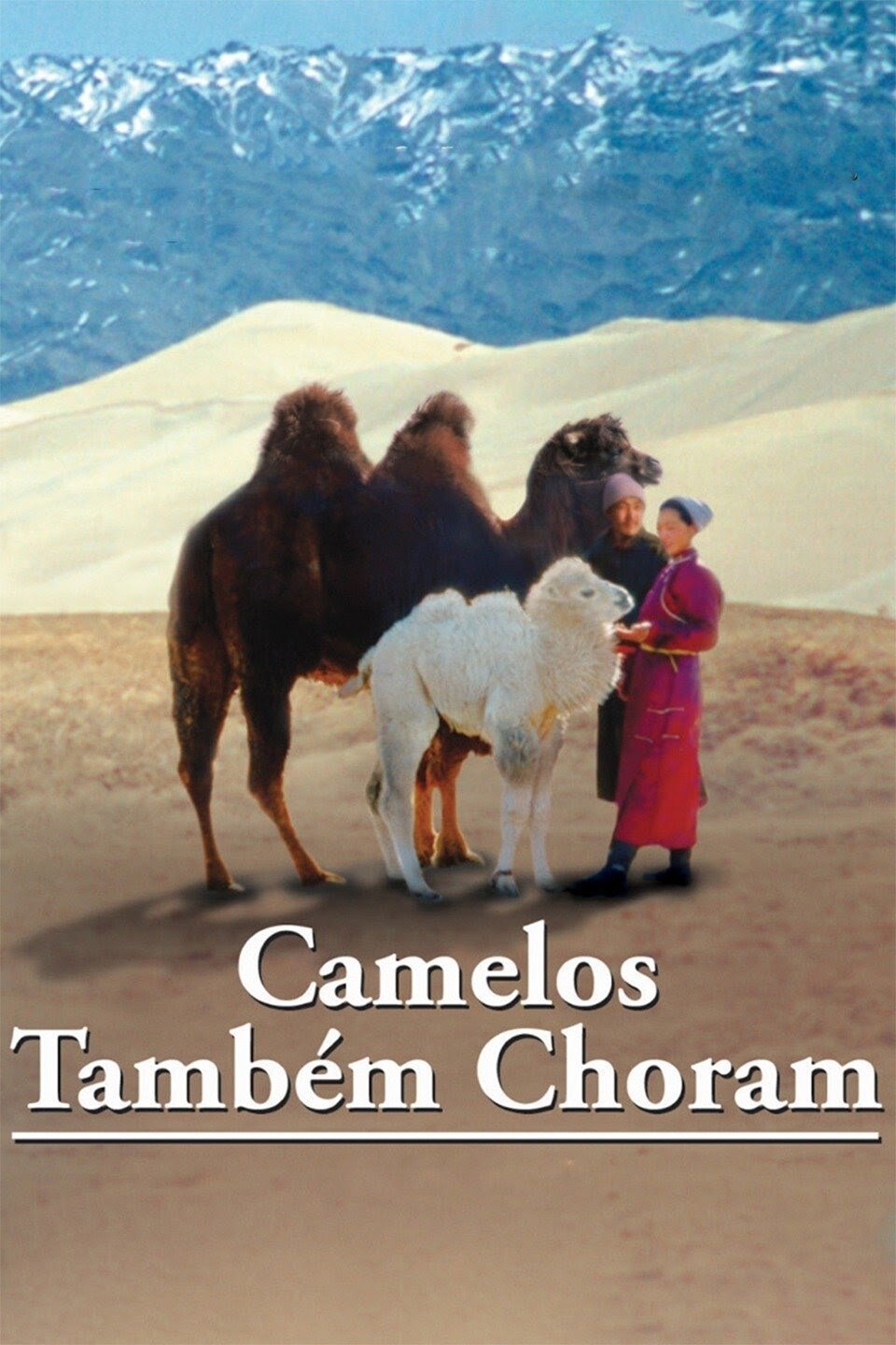 Poster de Camelos Também Choram