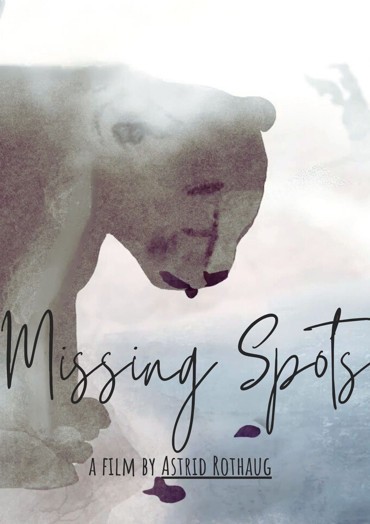 Poster de The Missing Spots