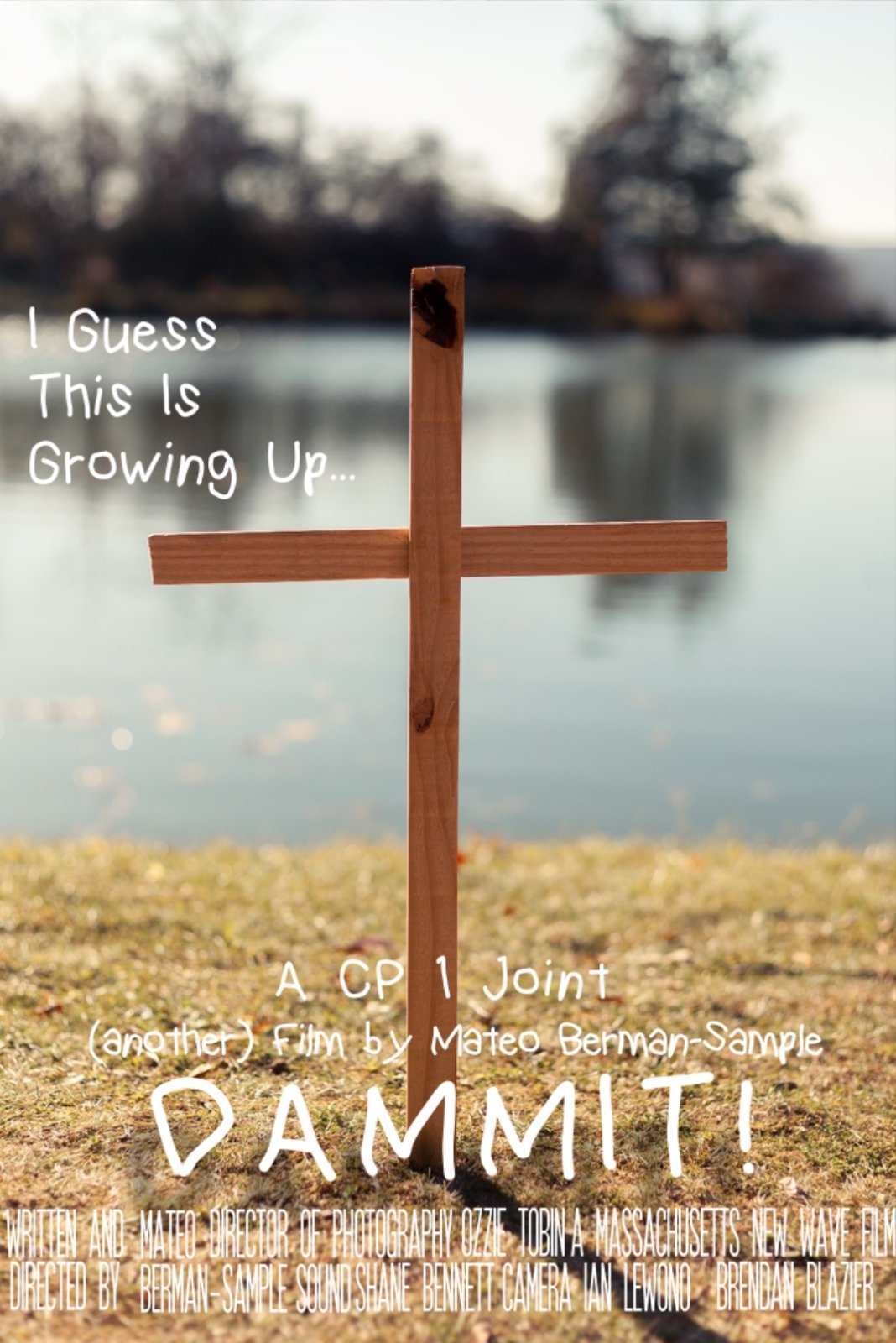 Poster de DAMMIT!