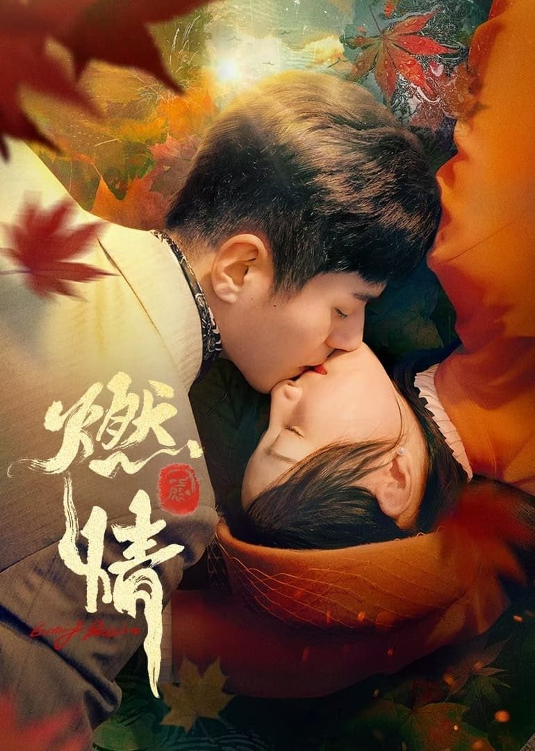 Poster de 燃情