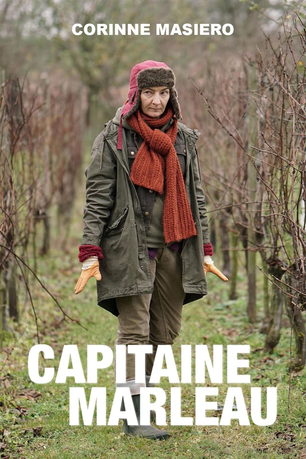Poster de Capitaine Marleau