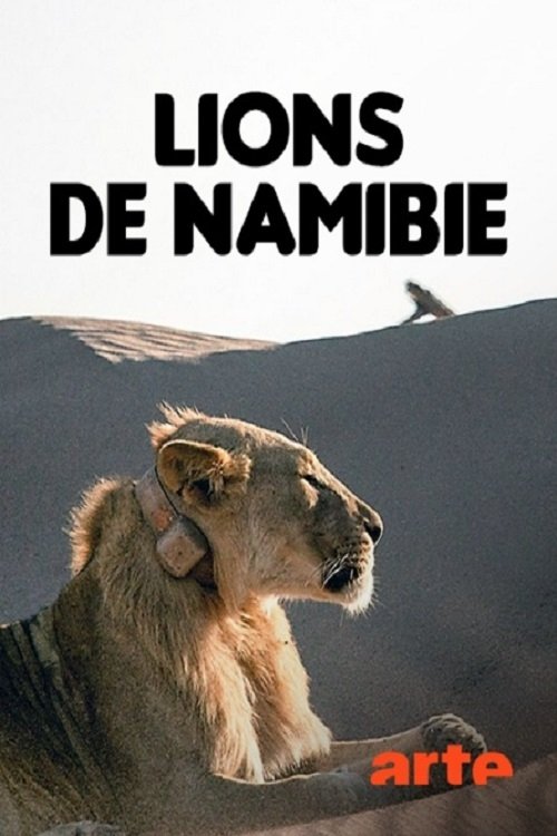 Poster de Lions de Namibie, les rois du désert