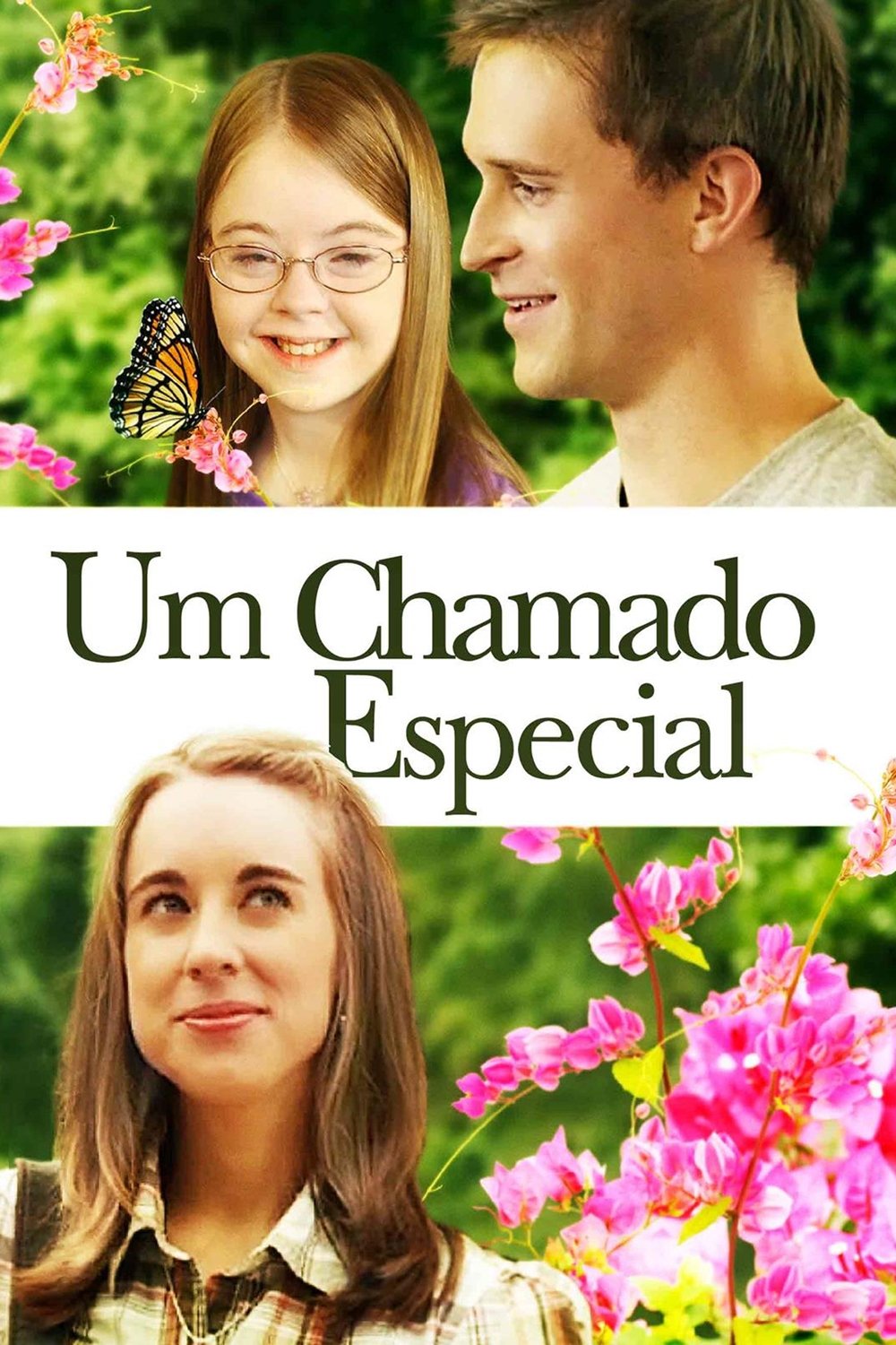 Poster de Um Chamado Especial