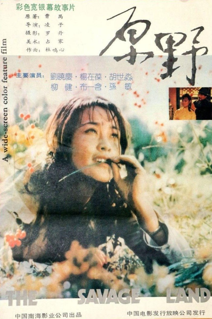 原野 Poster