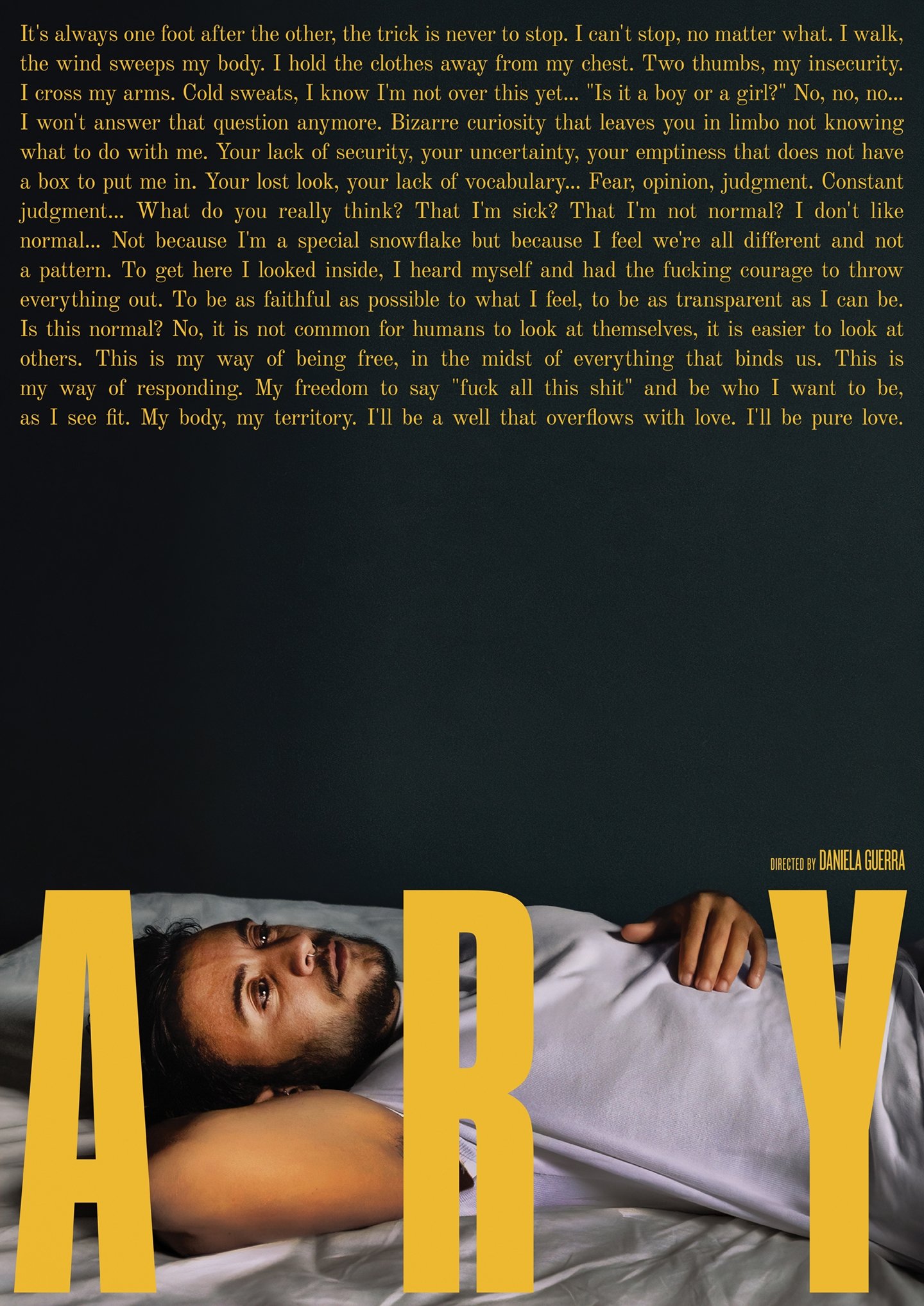 Poster de Ary