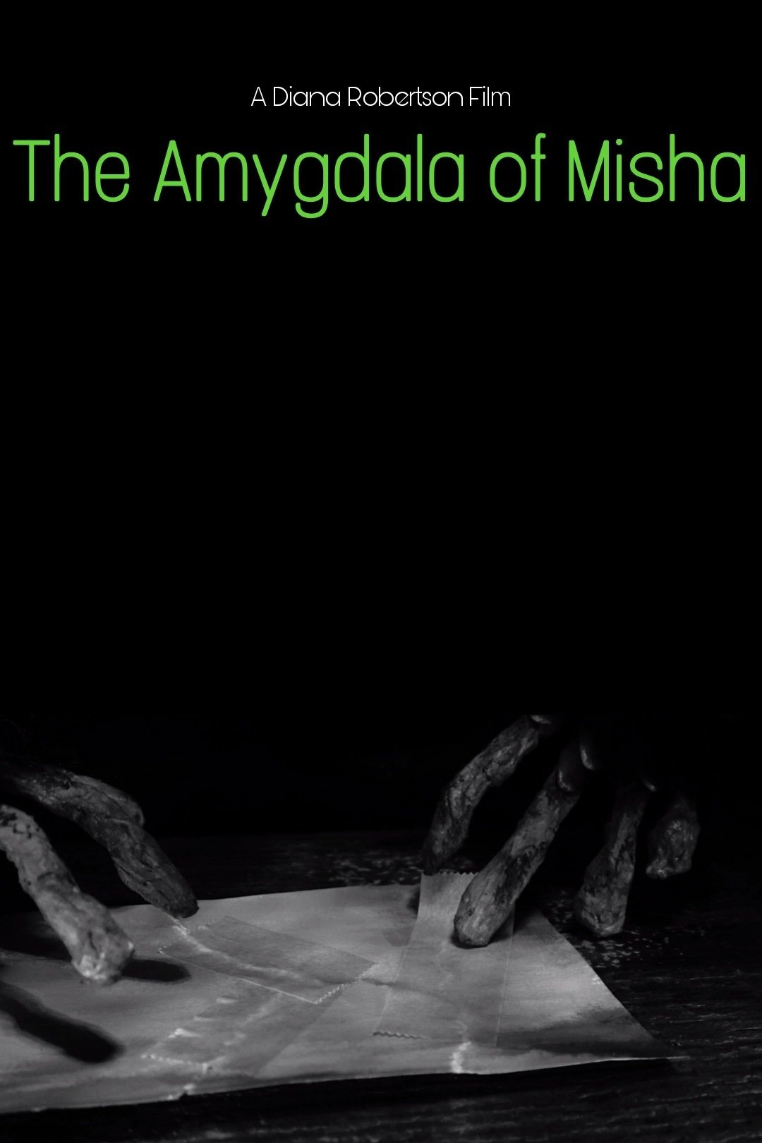 Poster de The Amygdala of Misha
