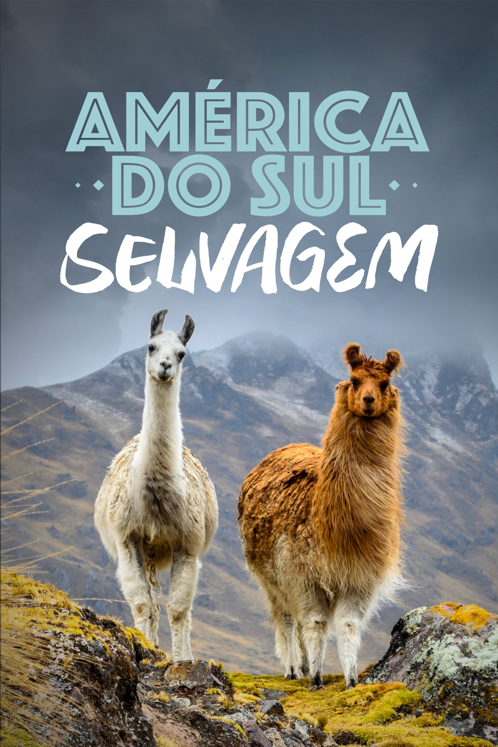 Poster de América do Sul Selvagem