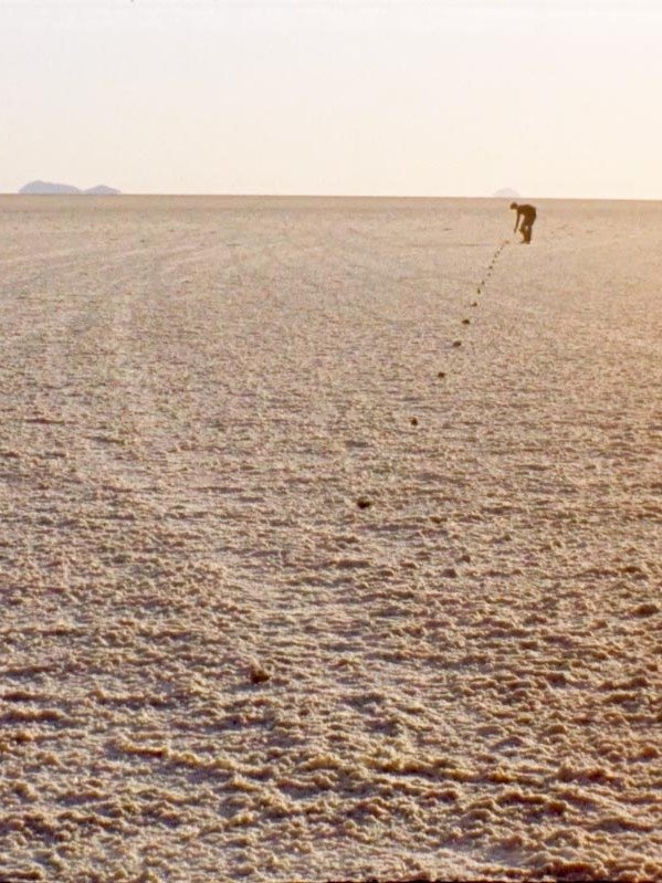 Poster de Vom Sehen im Salz. Oder: Zehn Strategien, in einer Unendlichkeit der eigenen Endlichkeit ins Auge zu blicken