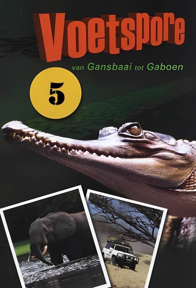 Poster de Temporada 5