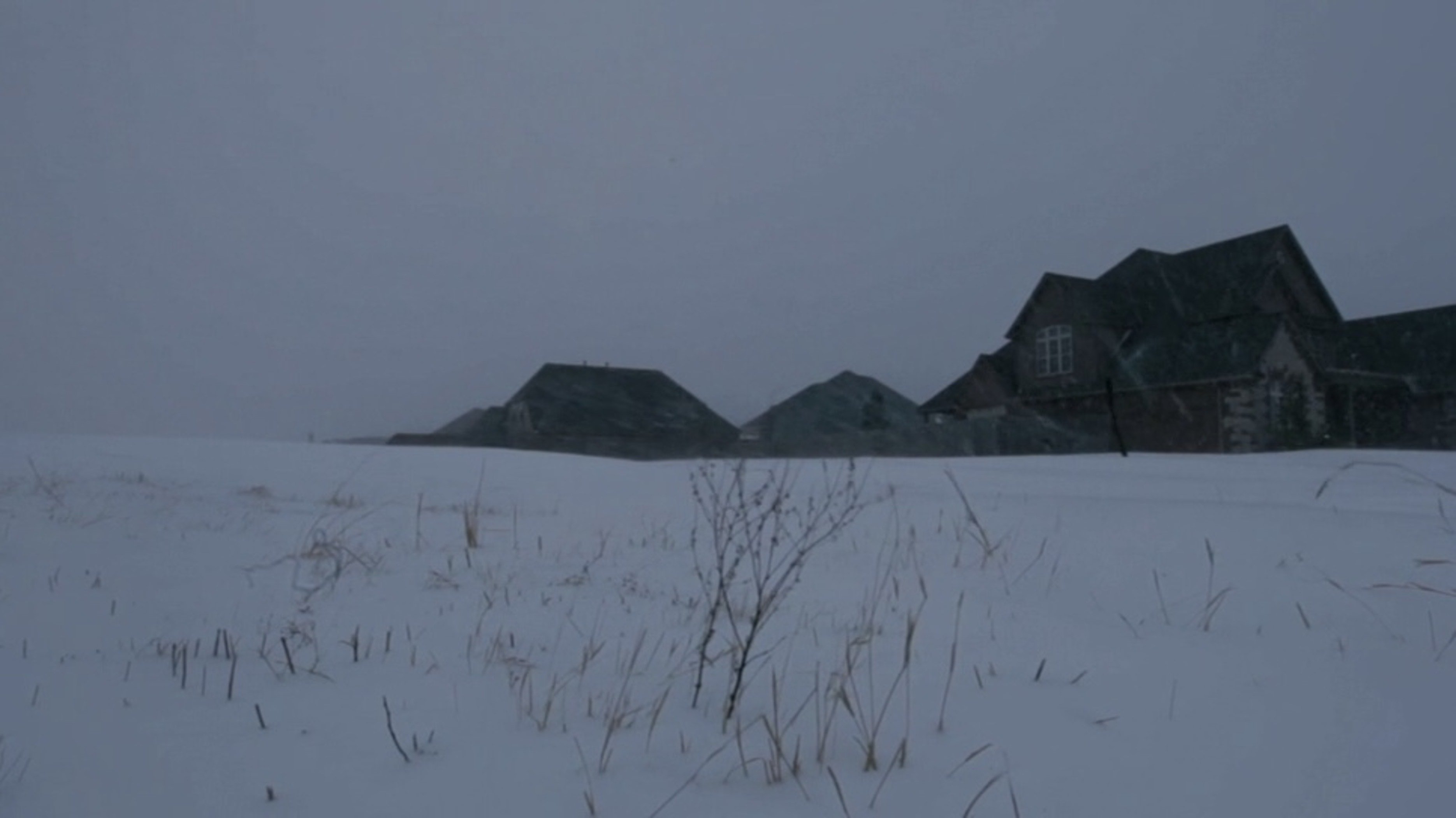 backdrops