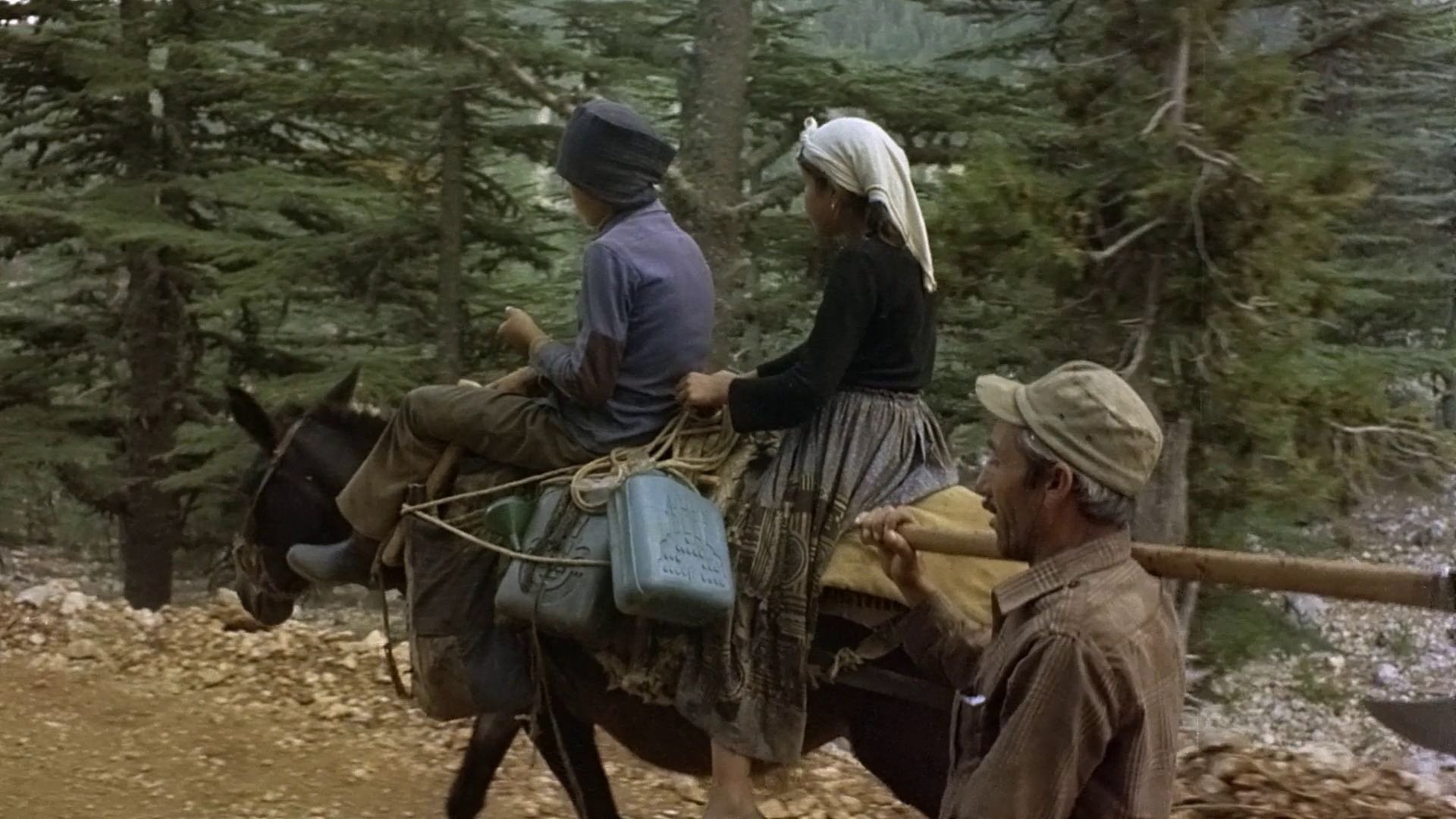 Fatma of the Forest