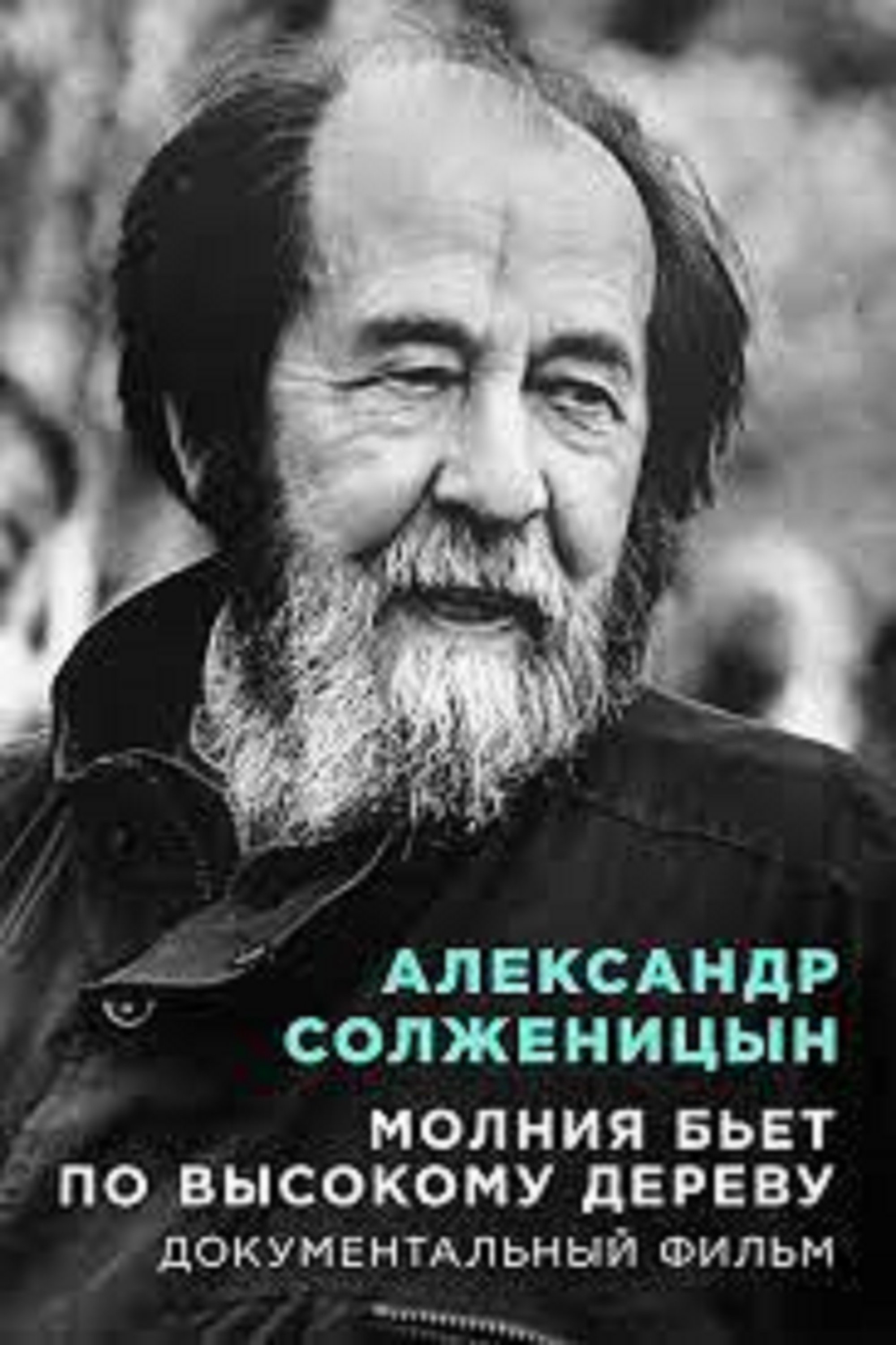 Poster de Александр Солженицын Молния бьет по высокому дереву