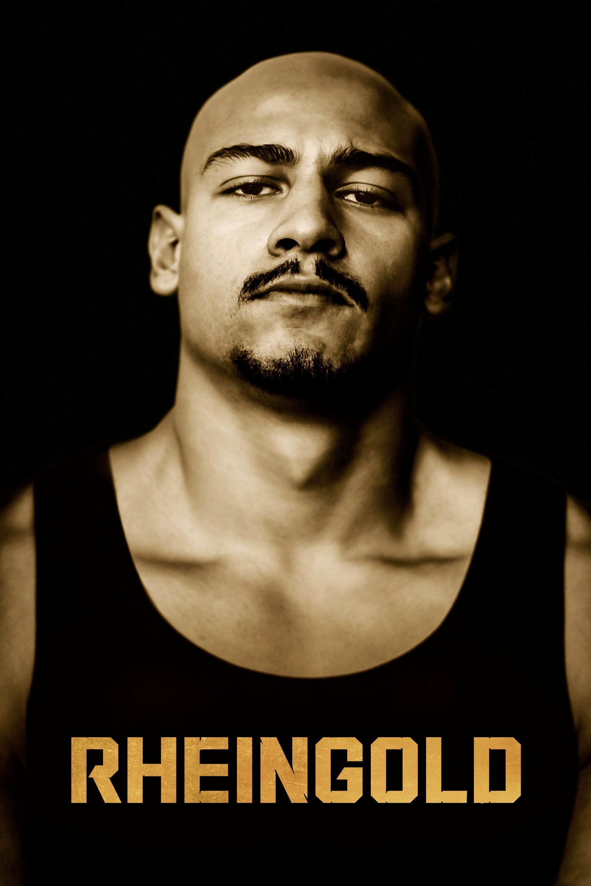 Poster de Rheingold: O Roubo do Sucesso