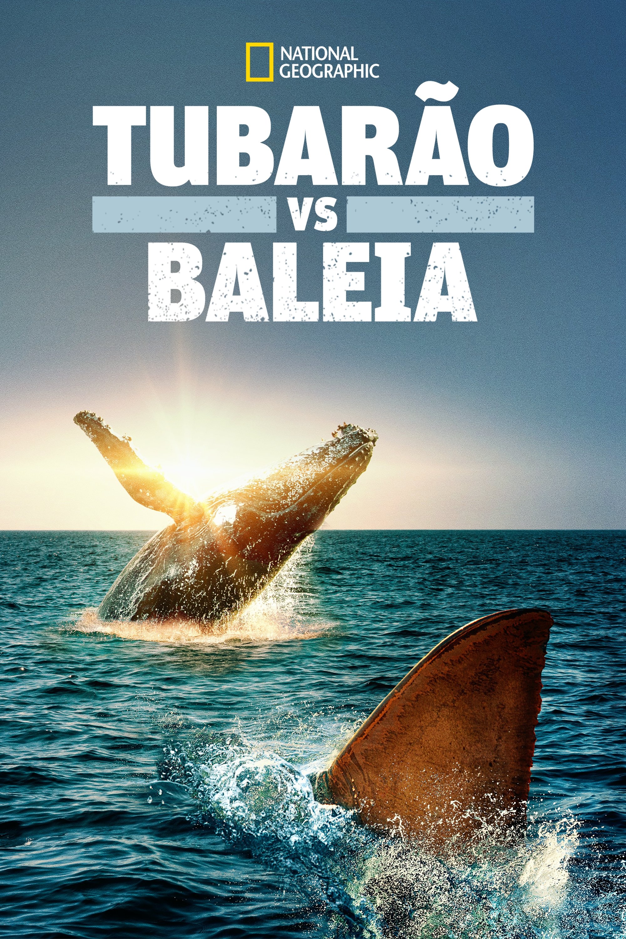 Poster de Tubarão vs. Baleia