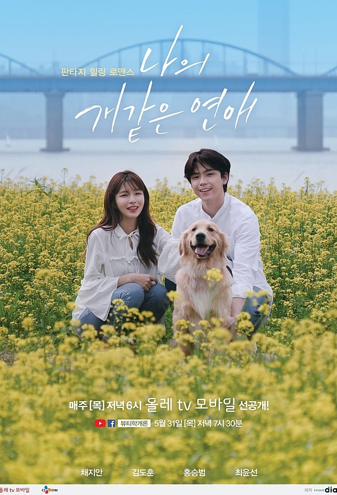 Poster de Meu Amor Canino
