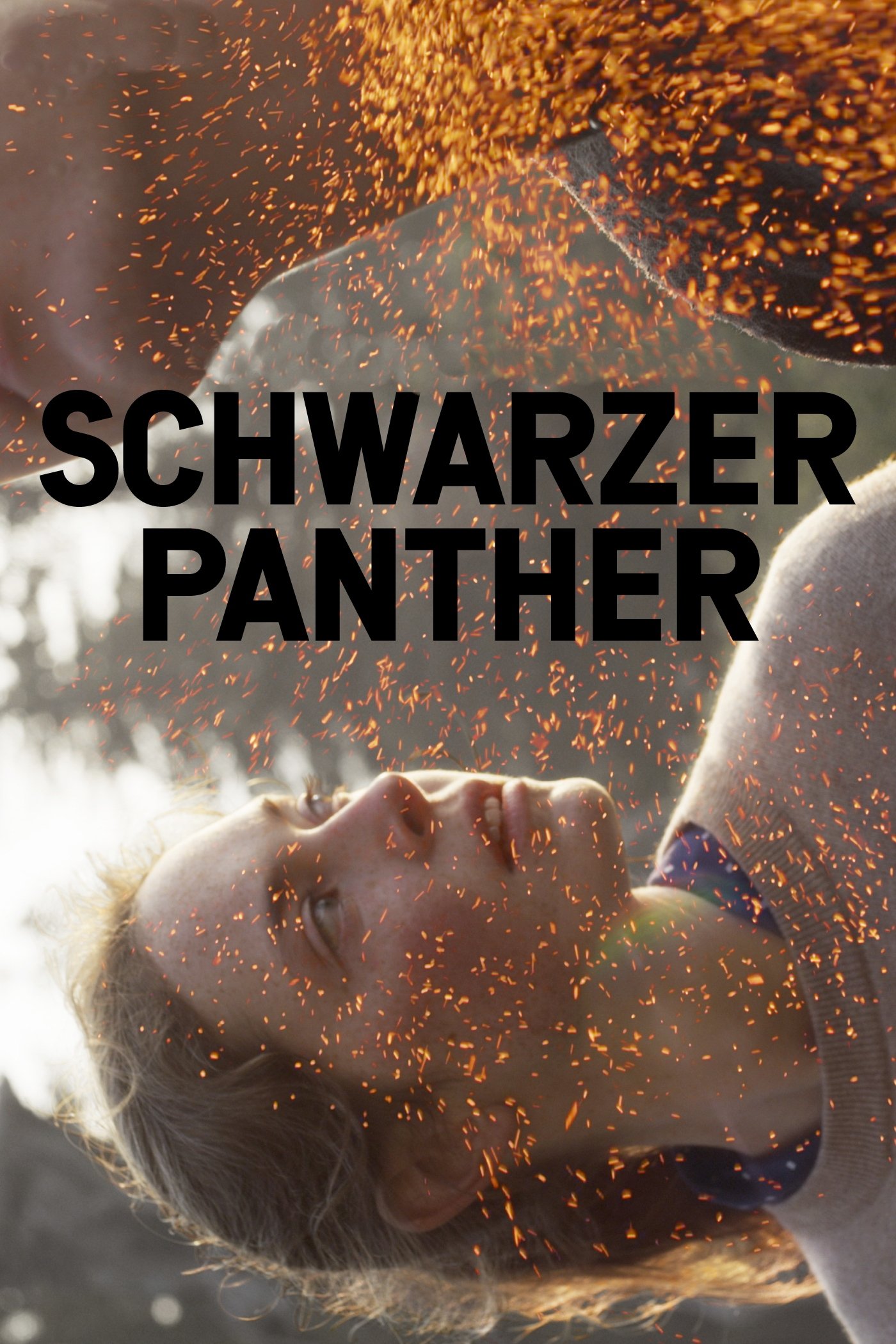 Poster de Schwarzer Panther