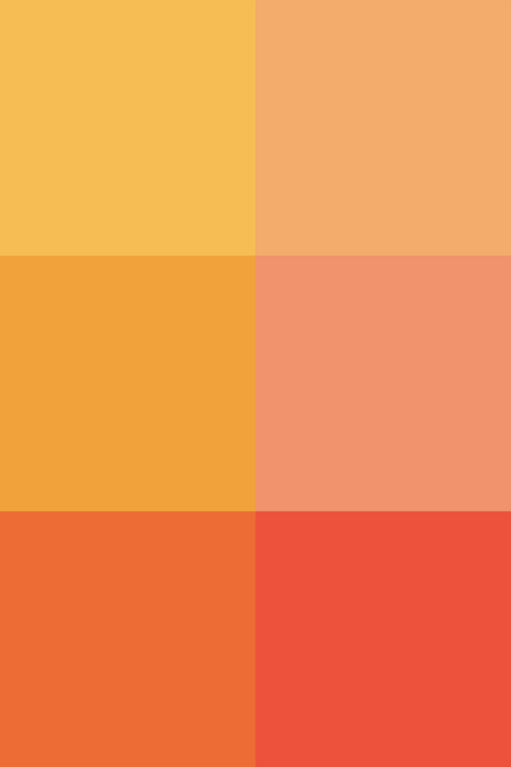 #ef795a, #f49956, #e94e1b, #f9b233, #f39200, #e7302a.