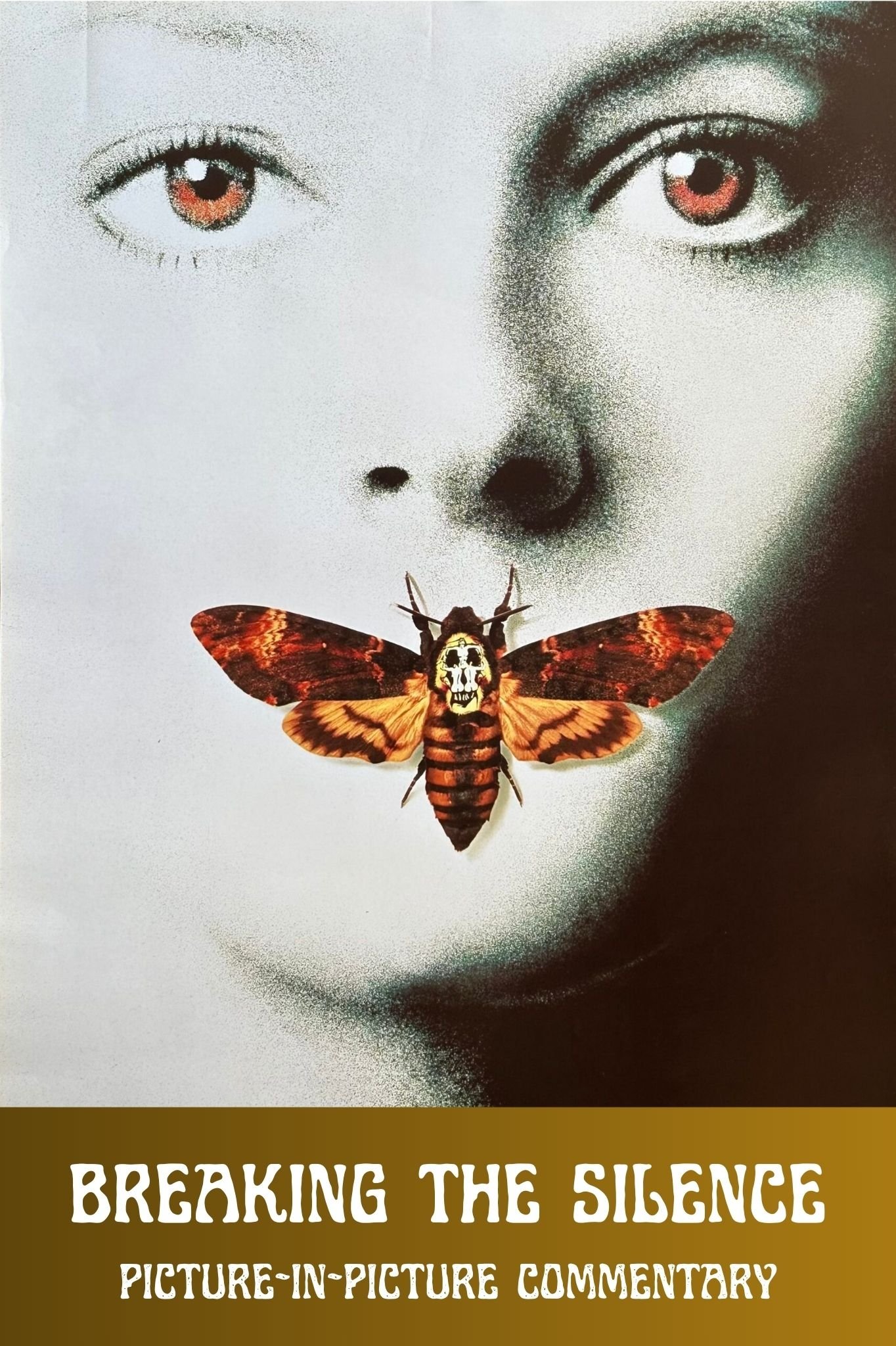 Poster de Breaking the Silence: Picture-in-Picture Commentary