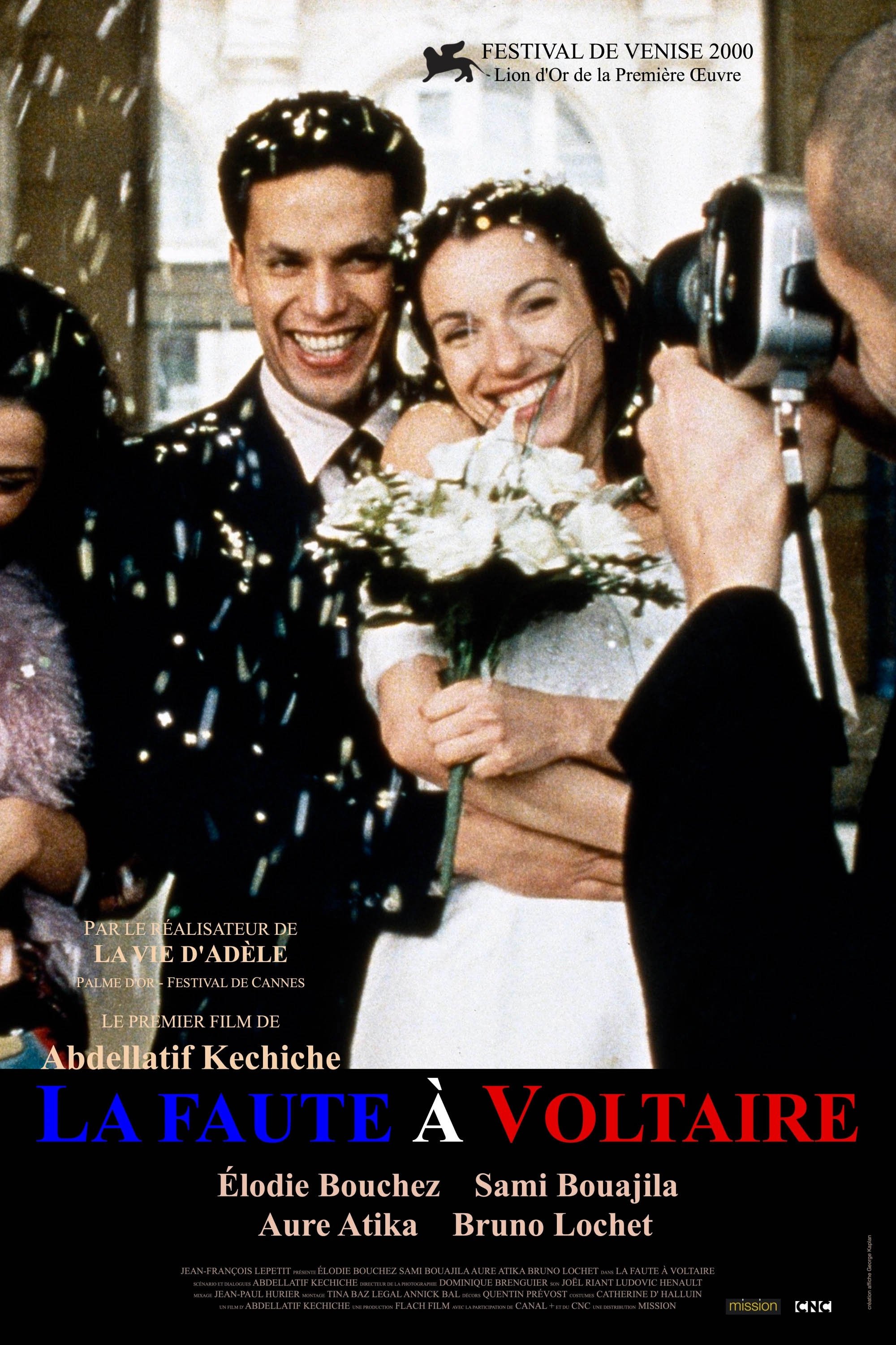 Affiche du film La Faute à Voltaire