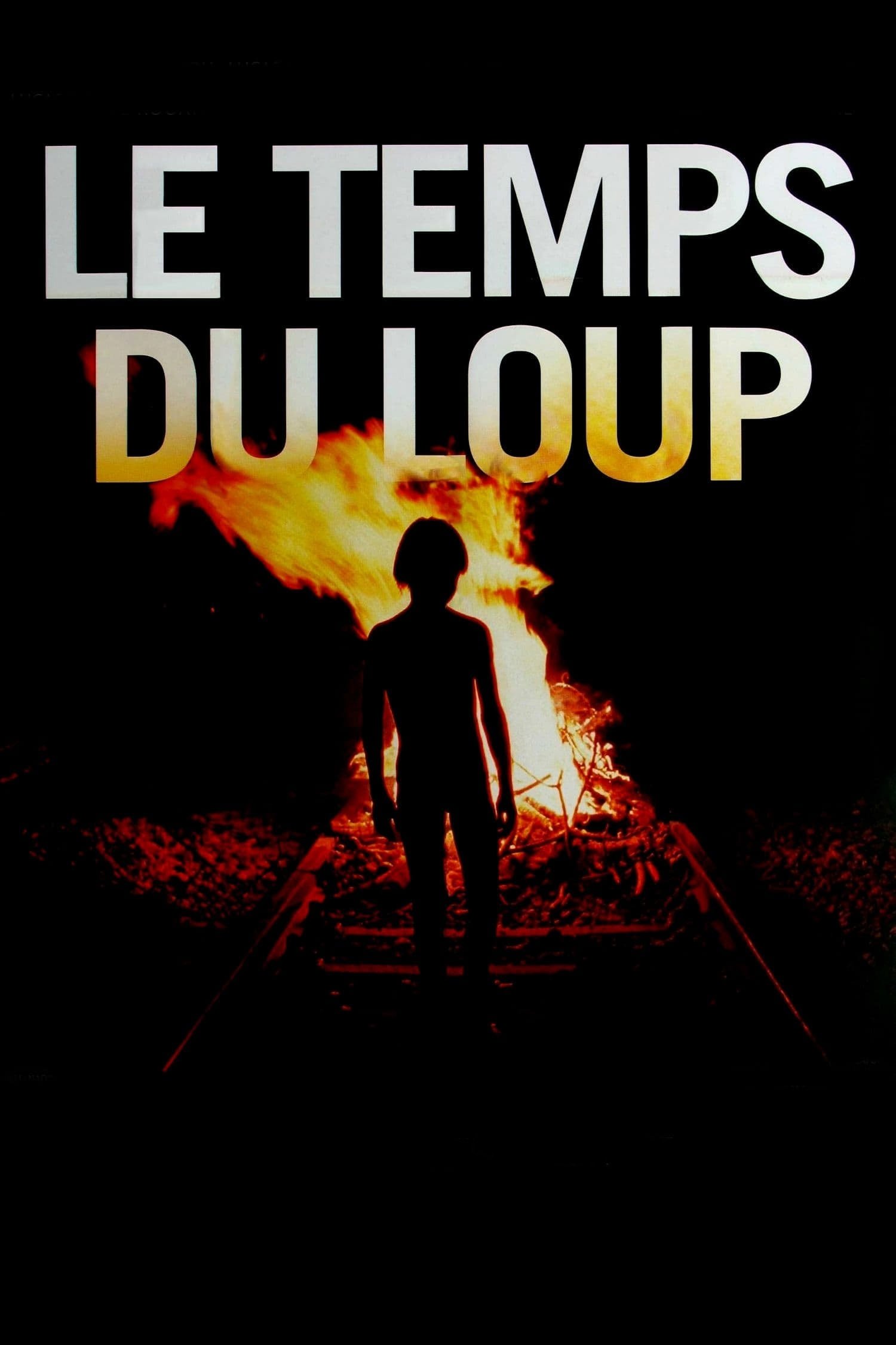 Affiche du film Le temps du loup