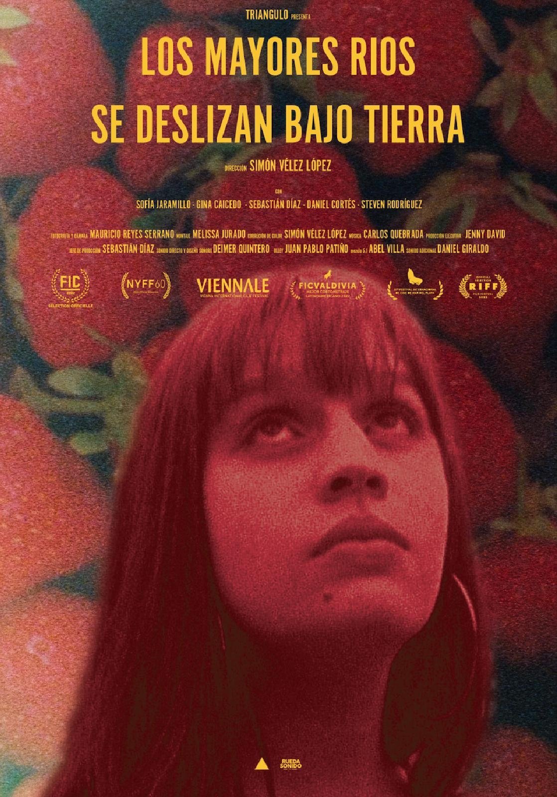 Poster de Los mayores ríos se deslizan bajo tierra