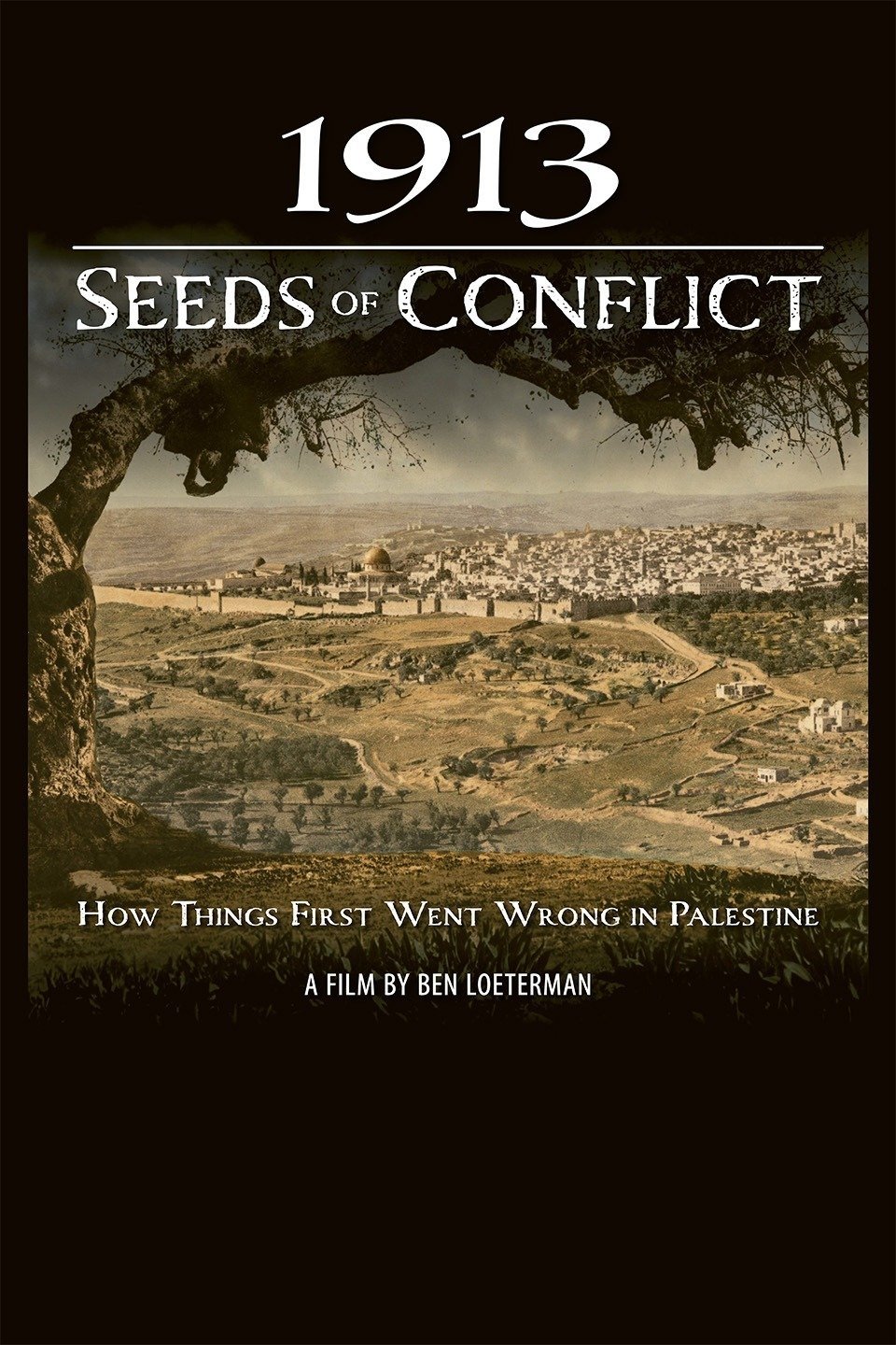 Poster de 1913: Seeds of Conflict