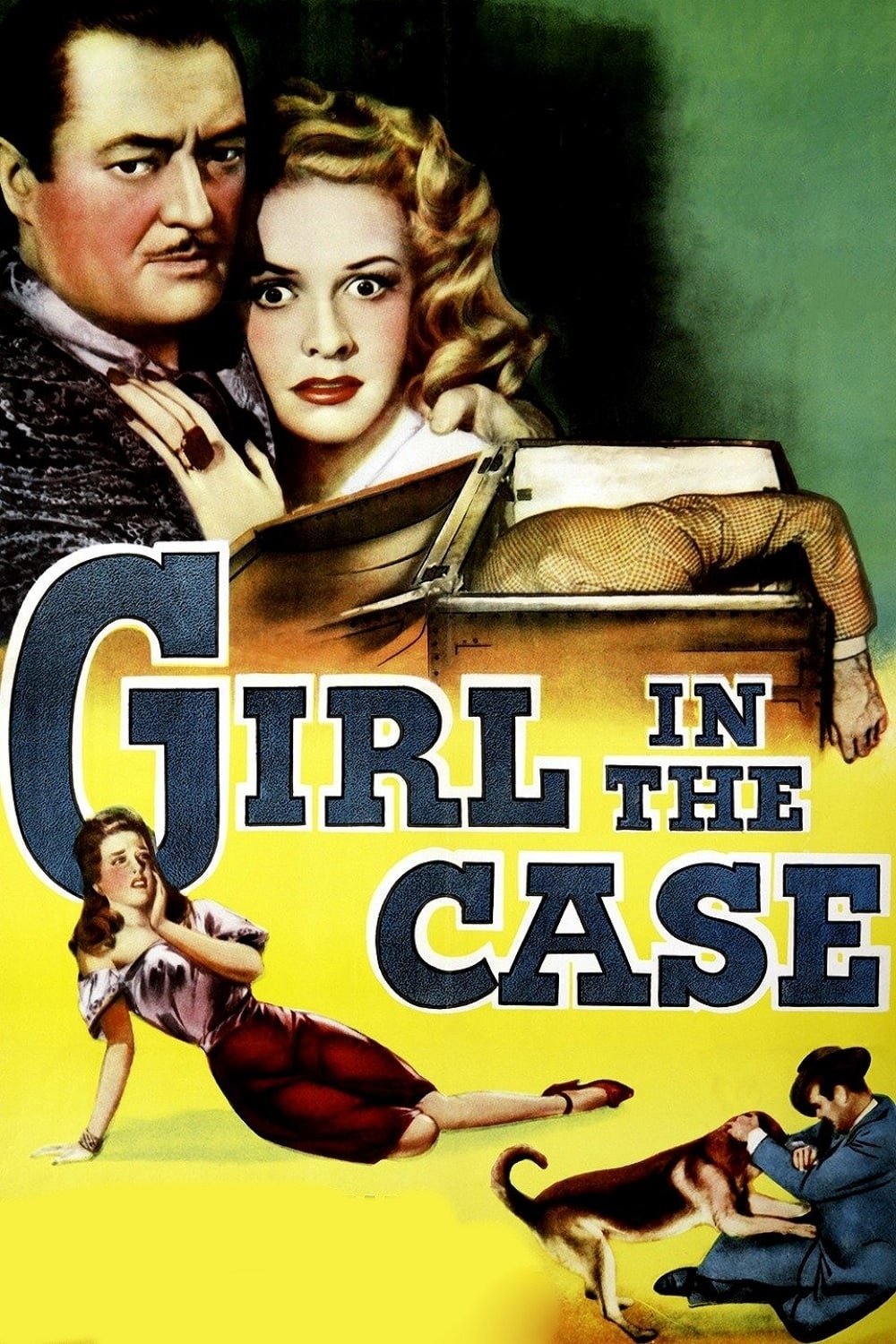 Poster de The Girl in the Case