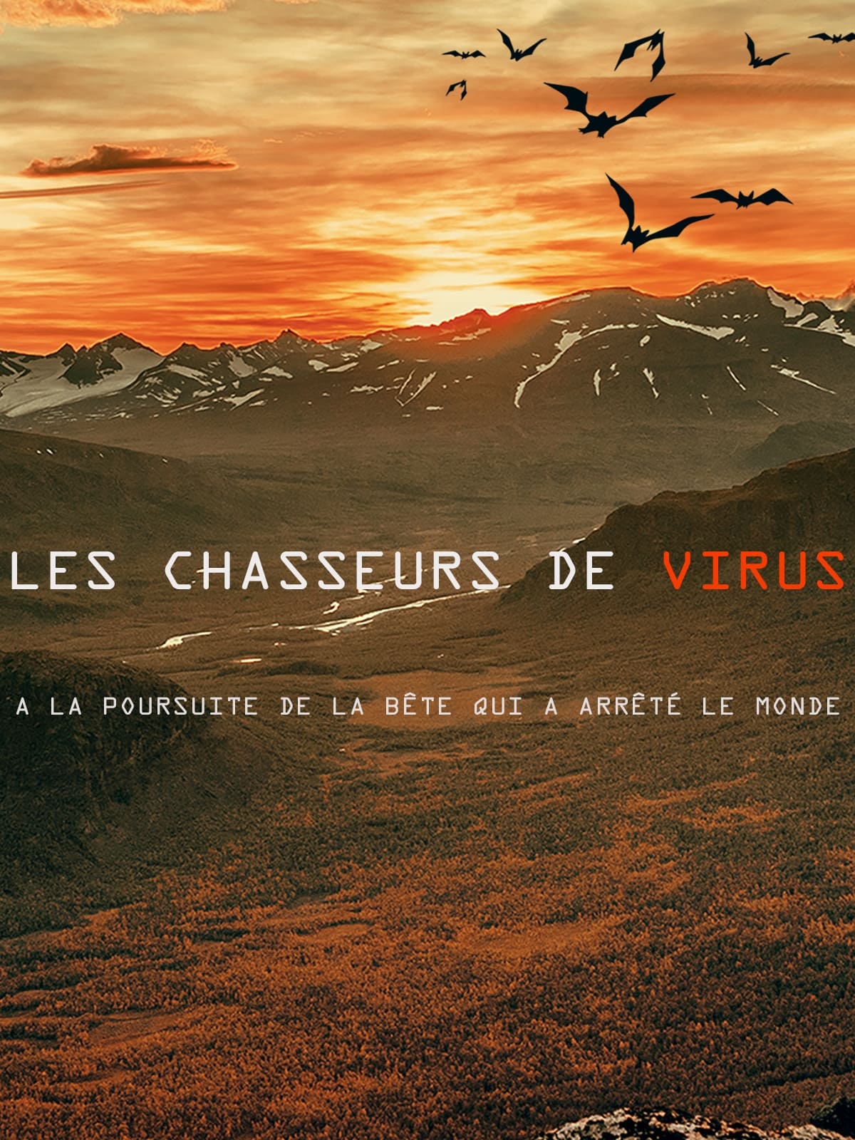 Poster de The Virus Hunters : Trailing the Beast That Stopped the World