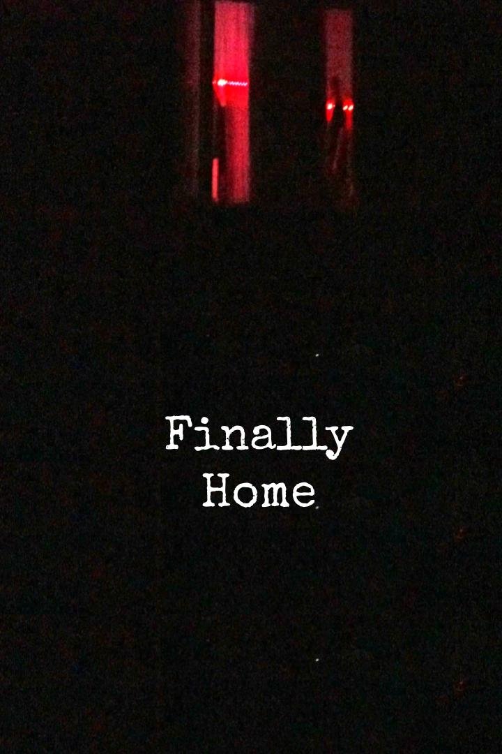 Poster de Finally Home