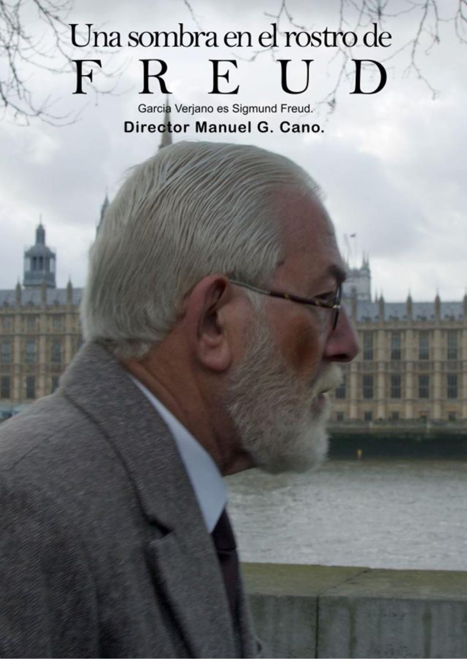 Poster de Una sombra en el rostro de Freud