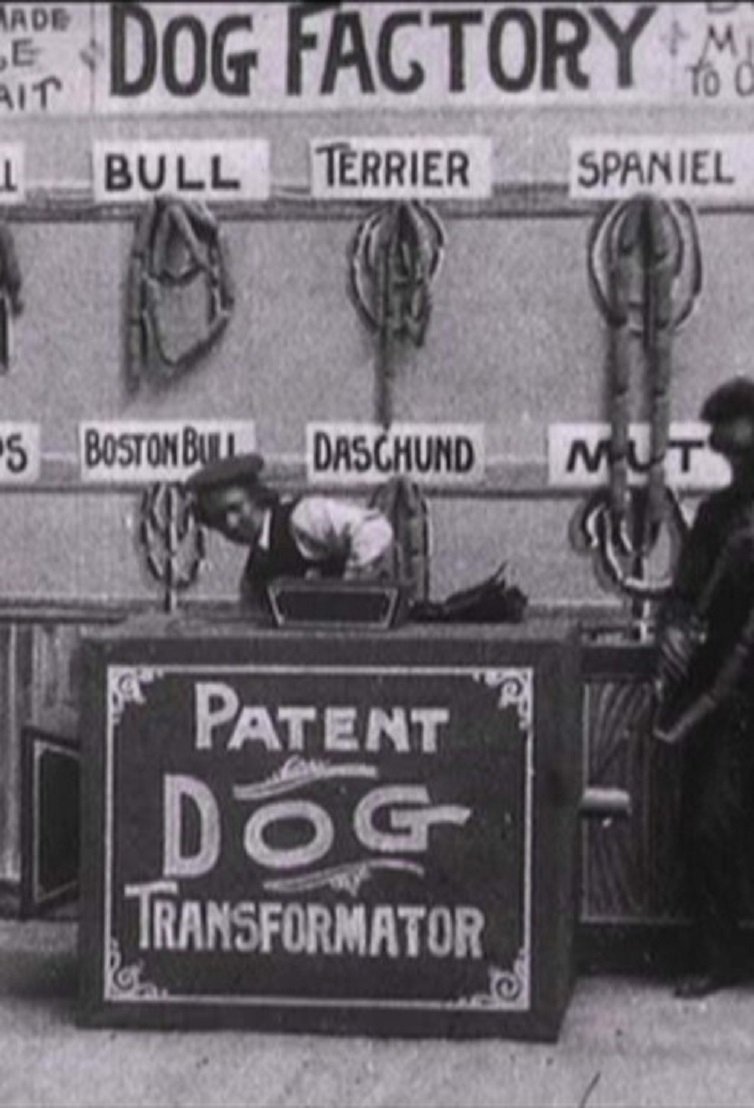 Poster de Dog Factory