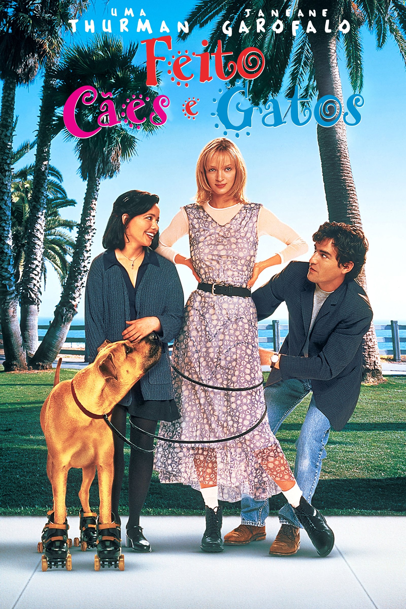 Poster de Feito Cães e Gatos