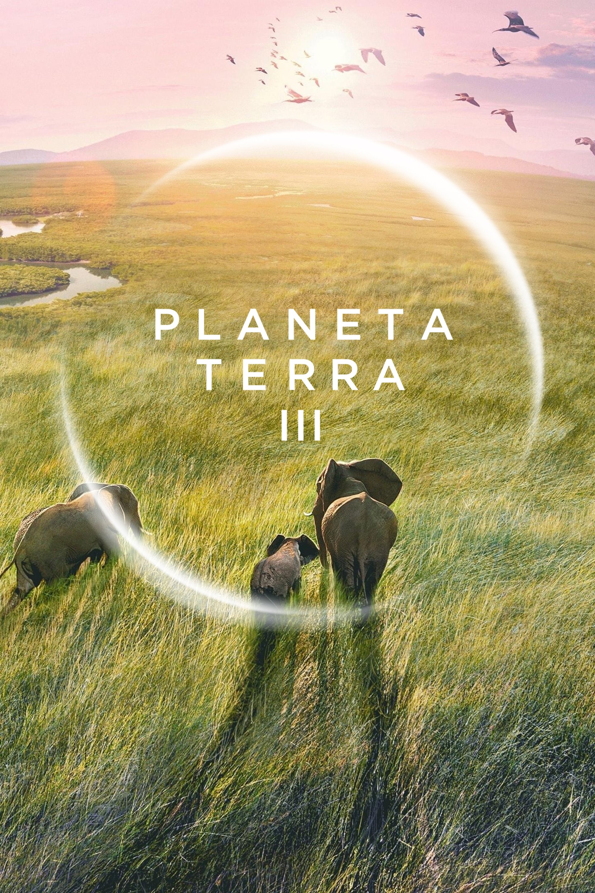 Poster de Planeta Terra III