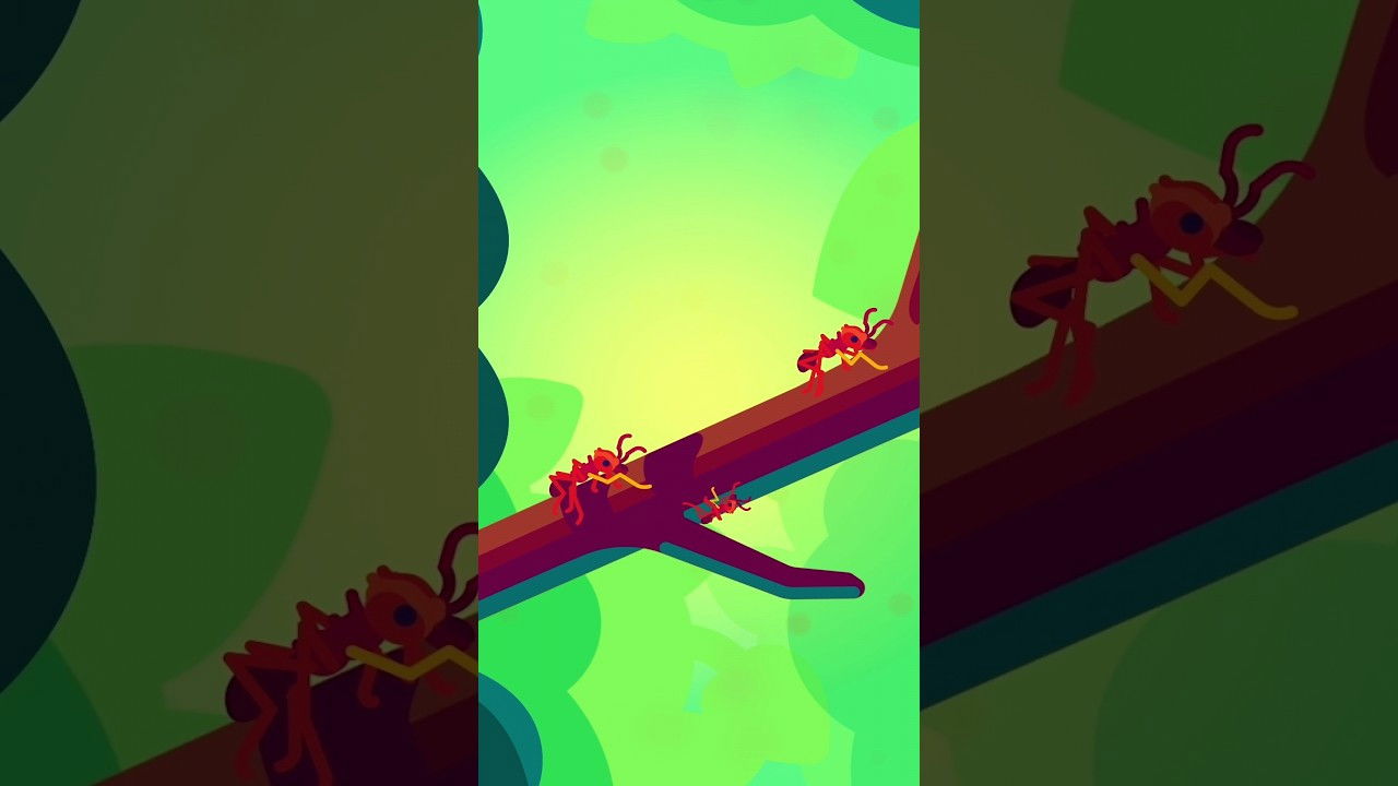 Earth's Hidden Gem: The Astonishing Diversity of Fauna and Flora