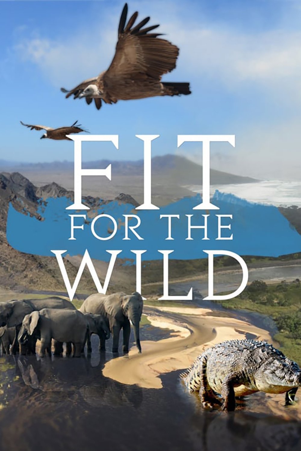Poster de Fit for the Wild