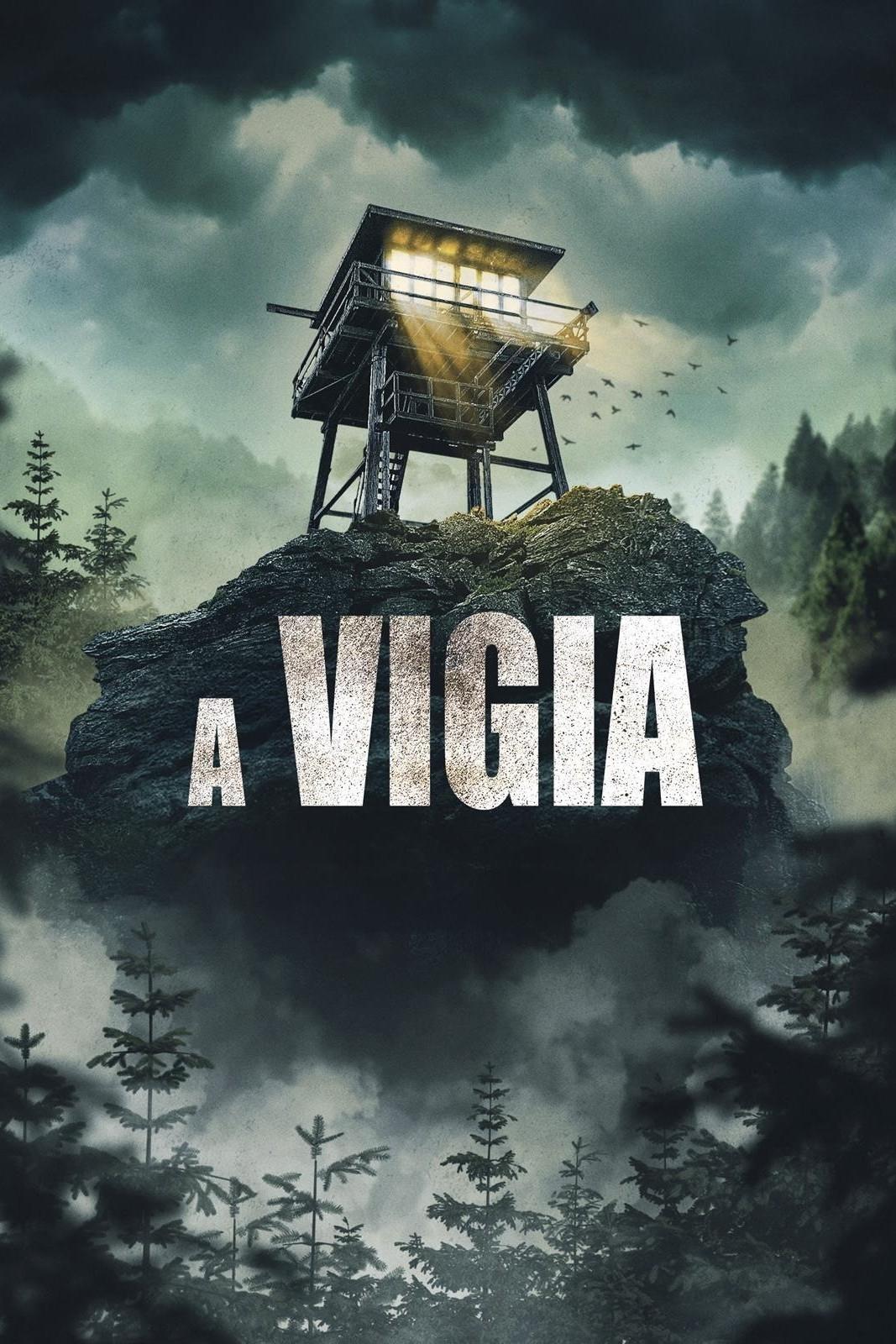 Poster de A Vigia